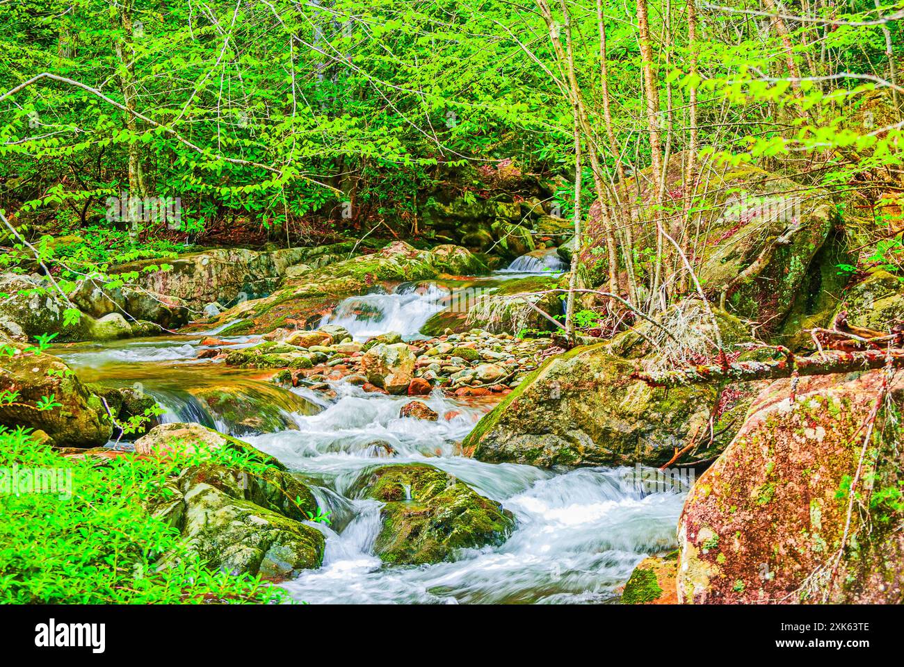 Rocky Fork Creek cascades along the road in rural Tennessee. Stock Photo