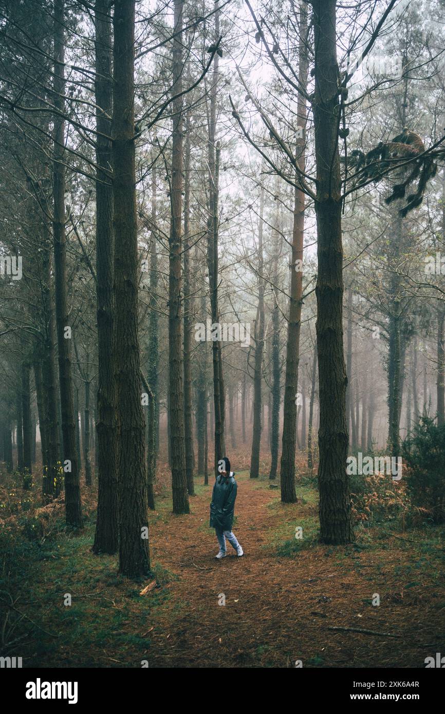 Peaceful quiet forest path hi-res stock photography and images - Alamy