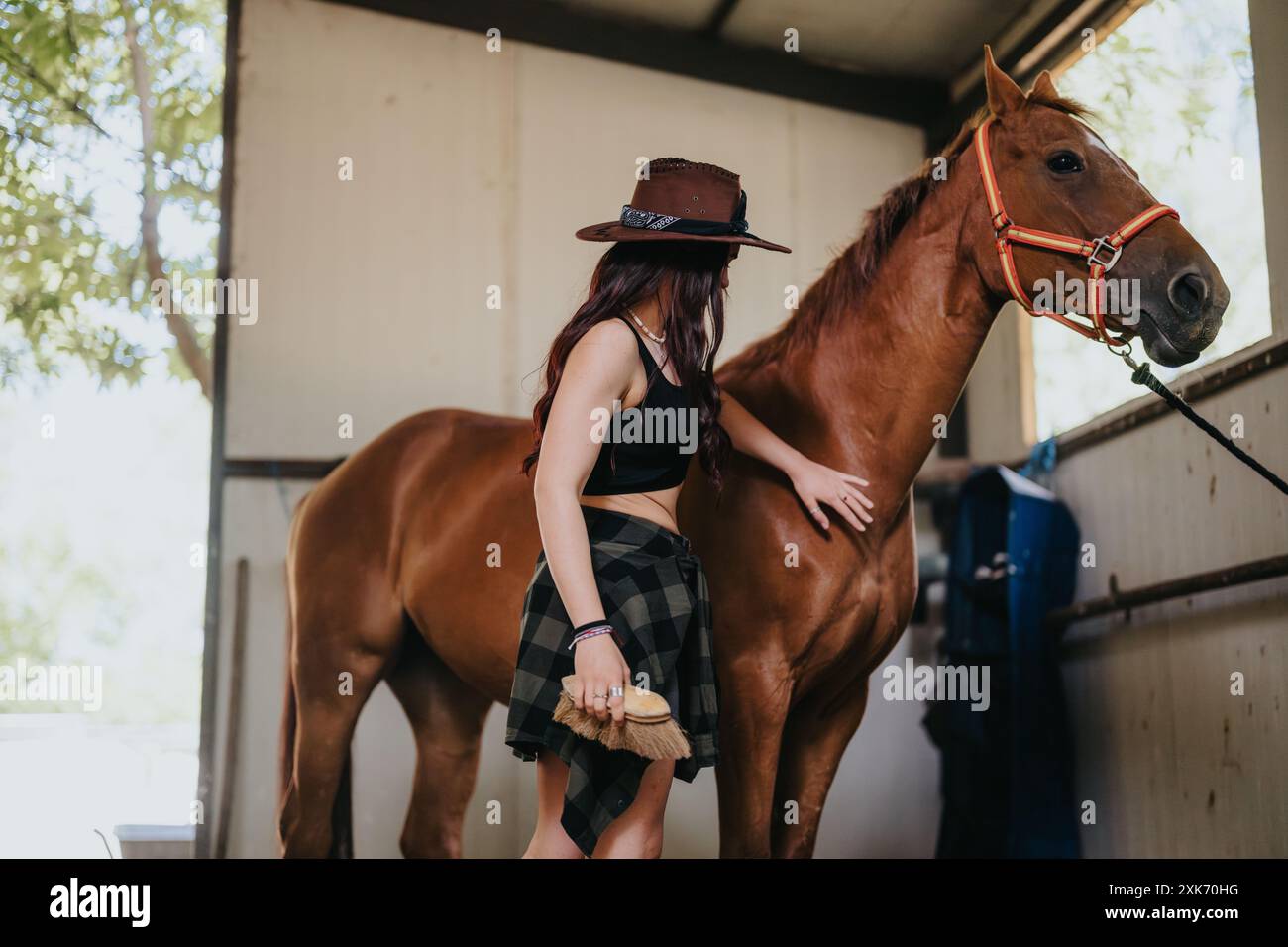 Young woman grooming and taking care of a horse in a stable Stock Photo ...