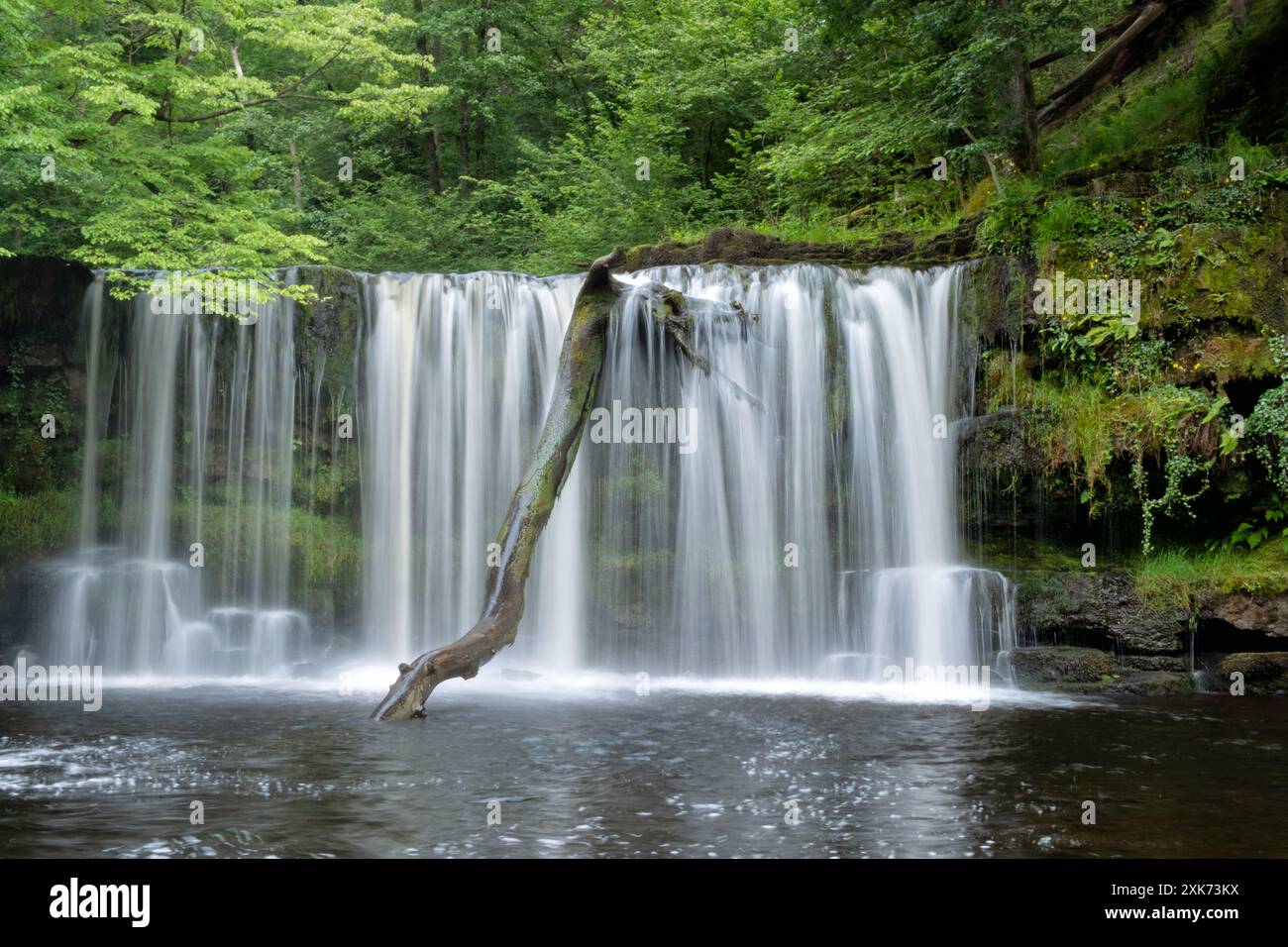 The Upper Ddwli Falls or Upper Gushing Falls. Part of waterfall country walk in the Brecon Beacons National Park, Powys, Wales, UK Stock Photo