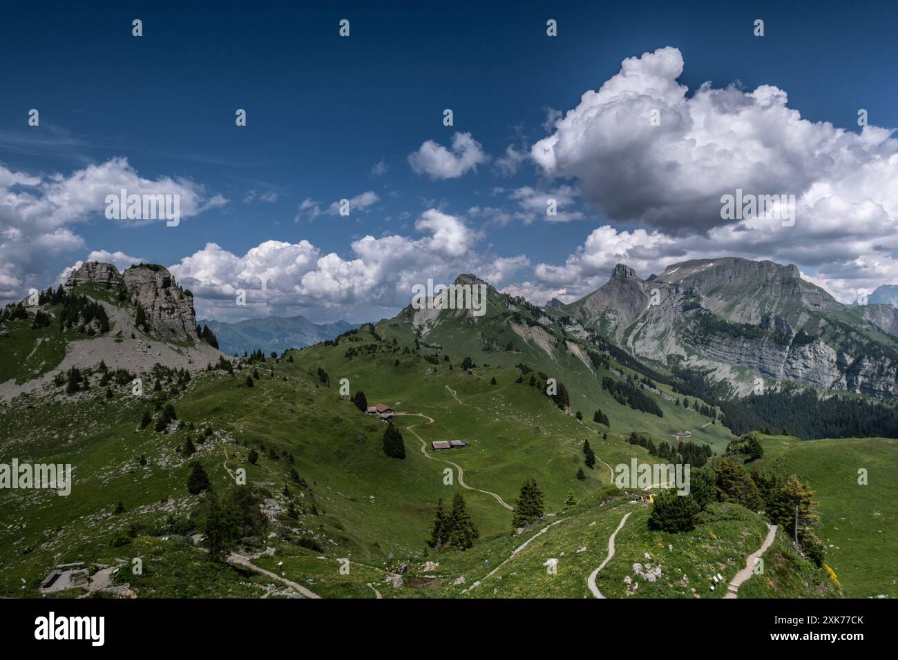 Landscape view of the Swiss alps, with the alps in the background, shot in Schynigge Plate, Interlaken, Switzerland Stock Photo