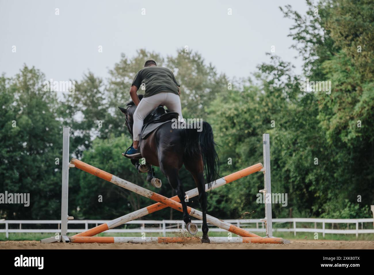 Horse rider jumping over hurdle in equestrian competition Stock Photo ...