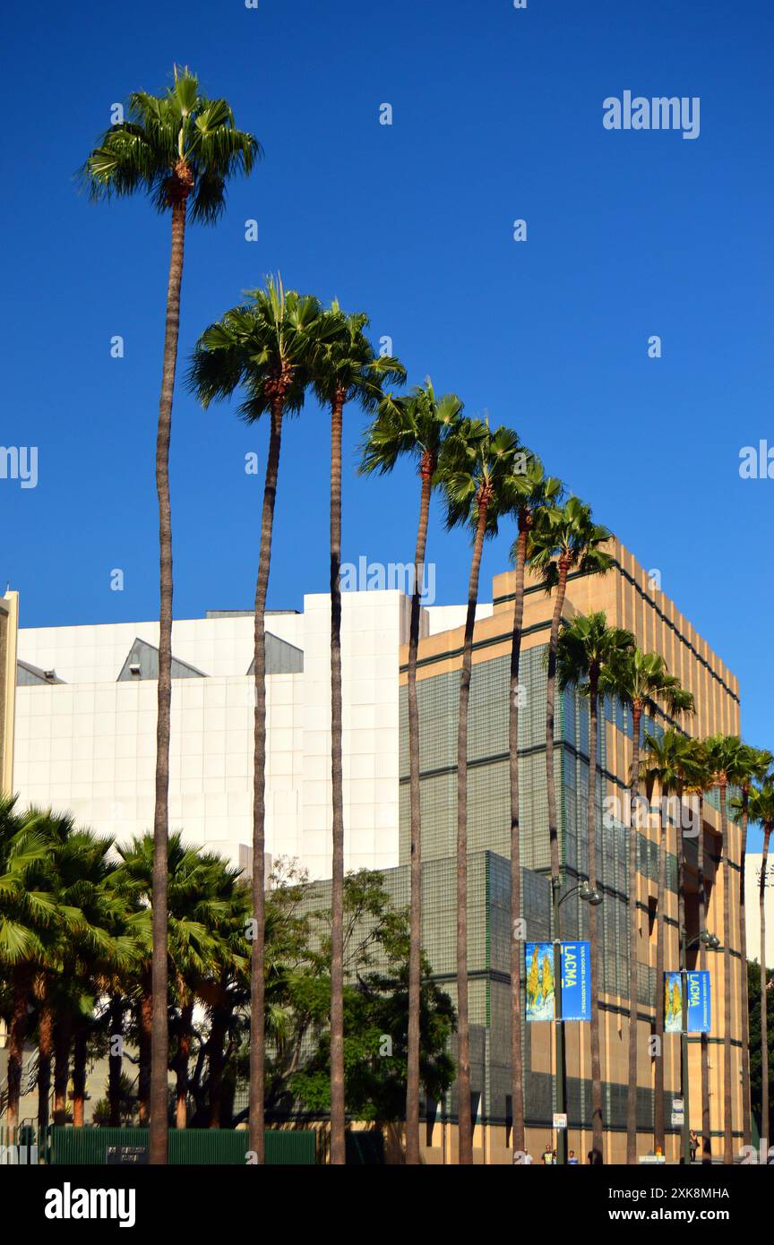 A line of palm trees grace Wilshire Boulevard in Los Angeles Stock Photo