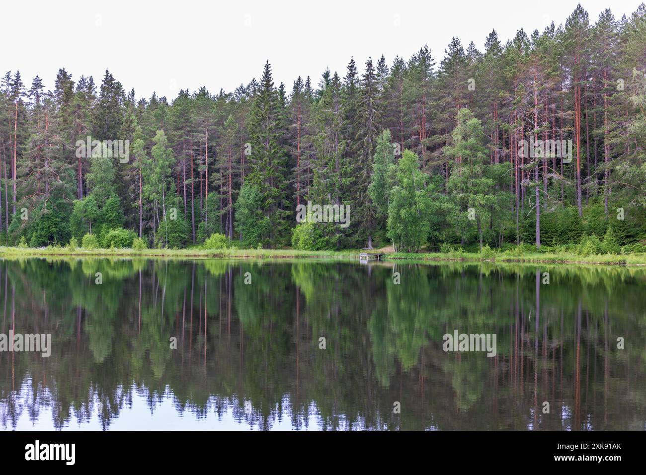 Reflection coniferous forest lake hi-res stock photography and images ...
