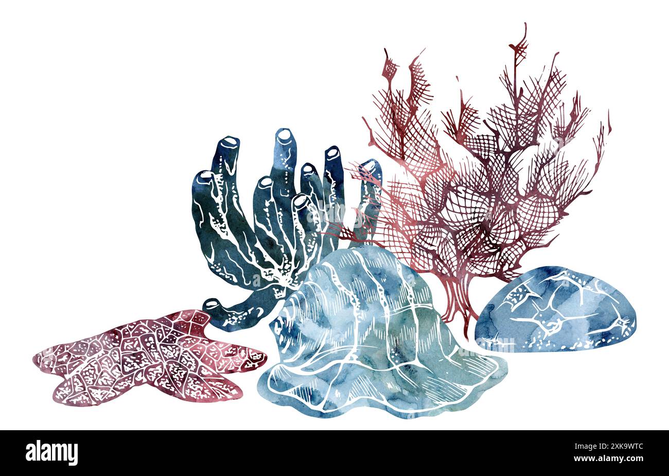 Watercolor and ink hand drawn marine life, sea ocean underwater ...
