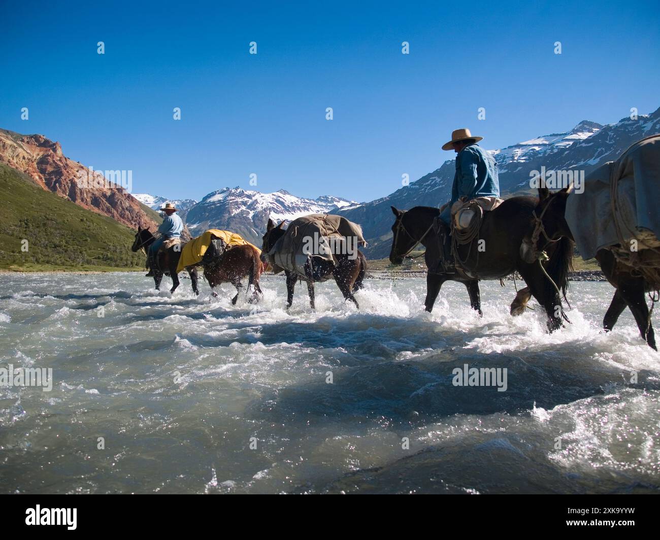 Two gauchos on horses and four mules help haul loads on a climbing ...