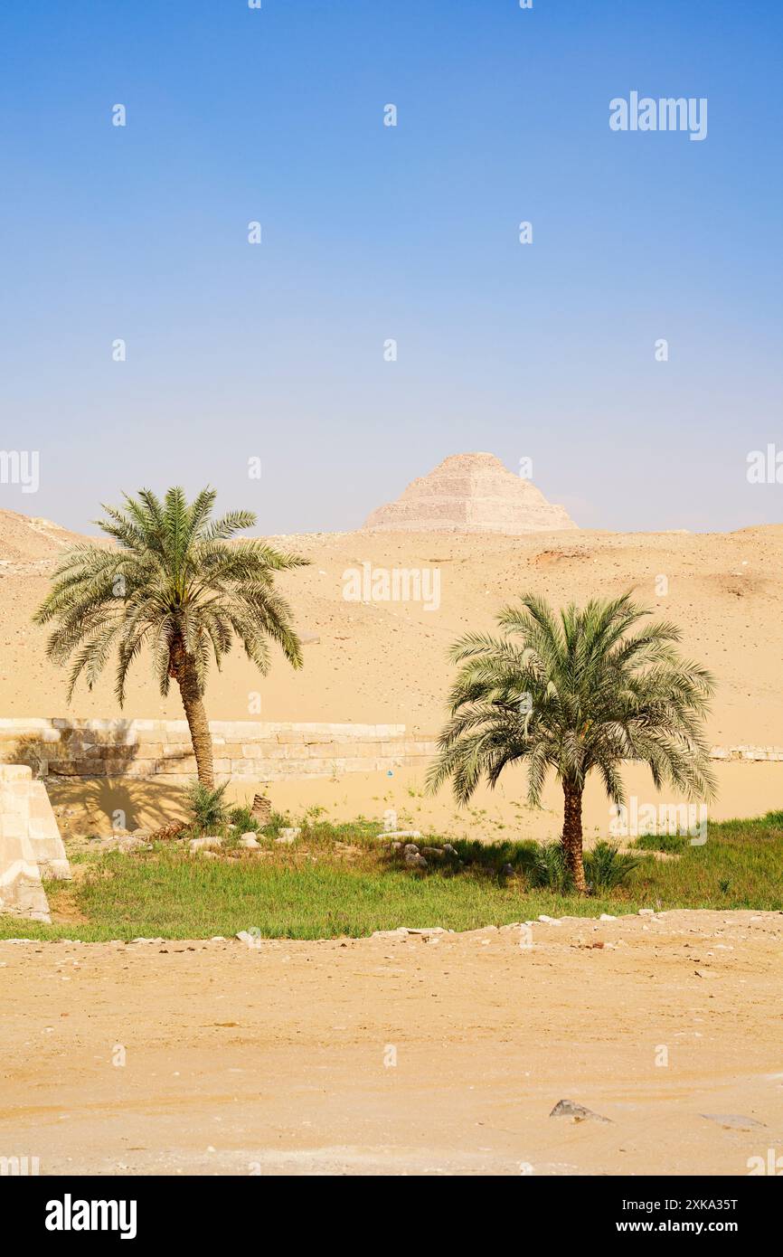 Middle east desert palm tree not israel hi-res stock photography and ...