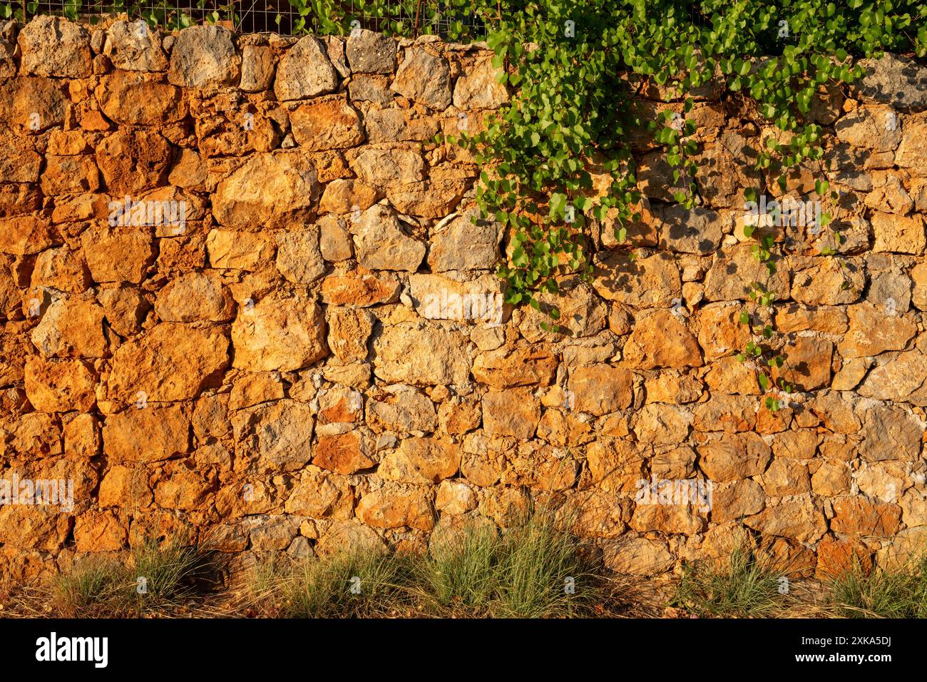 Natural rock wall, photographed at golden hour Stock Photo - Alamy