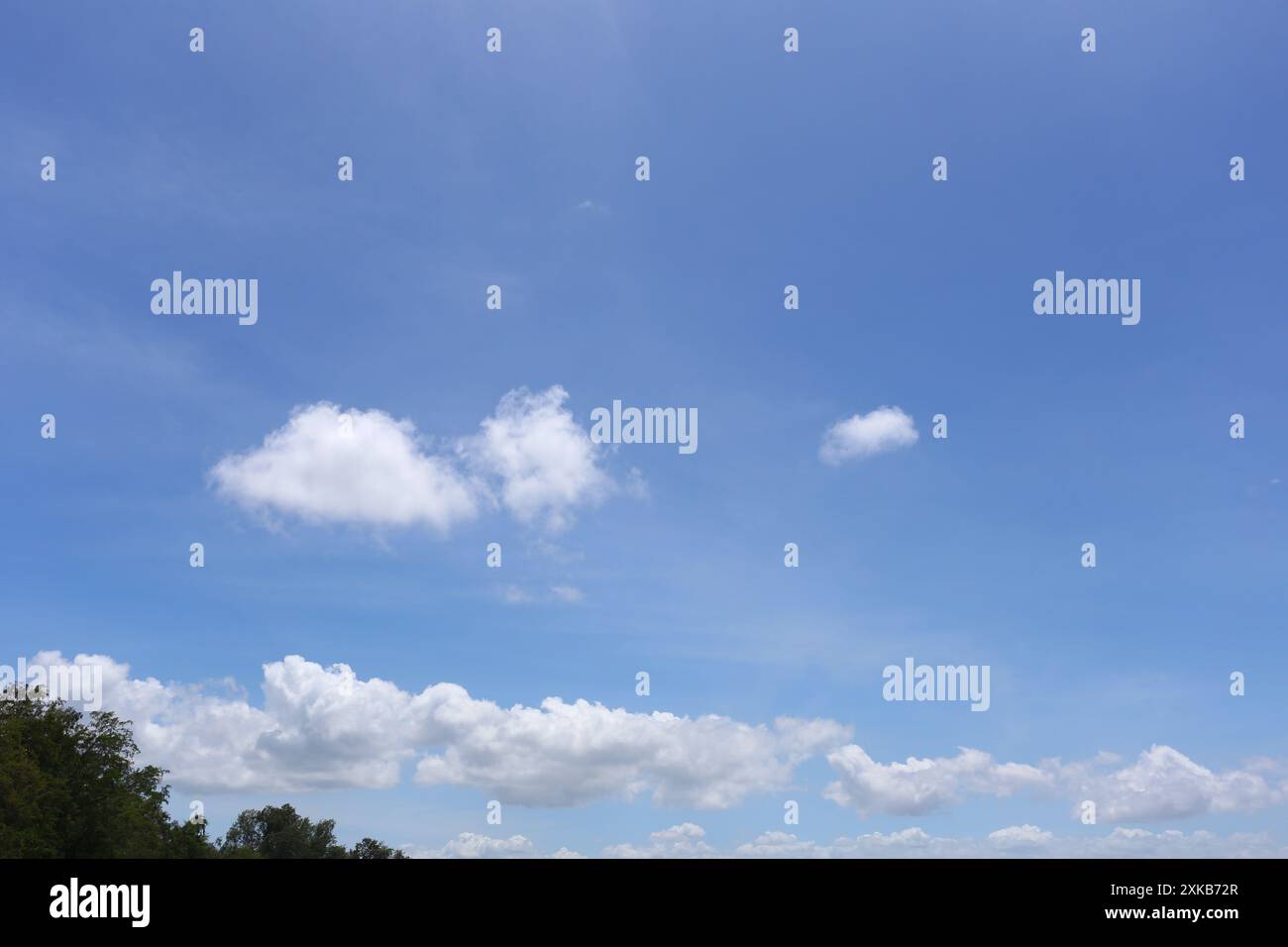 Blue sky and top of a green tree with white clouds in the daytime ...