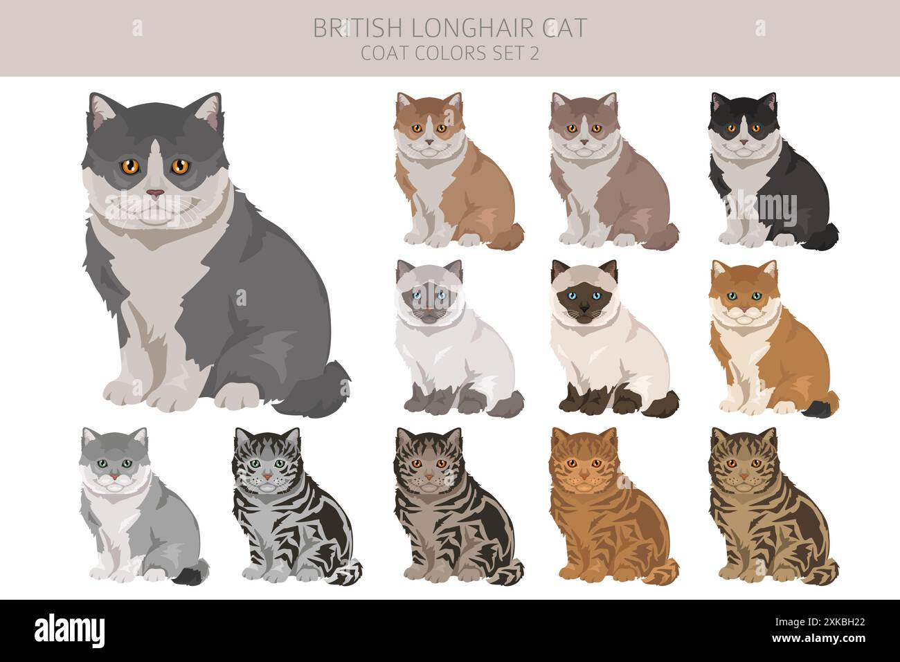 British longhair Cat clipart. All coat colors set. All cat breeds ...