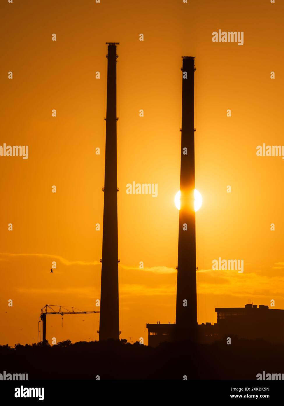 At sunrise in silhouettes hi-res stock photography and images - Alamy