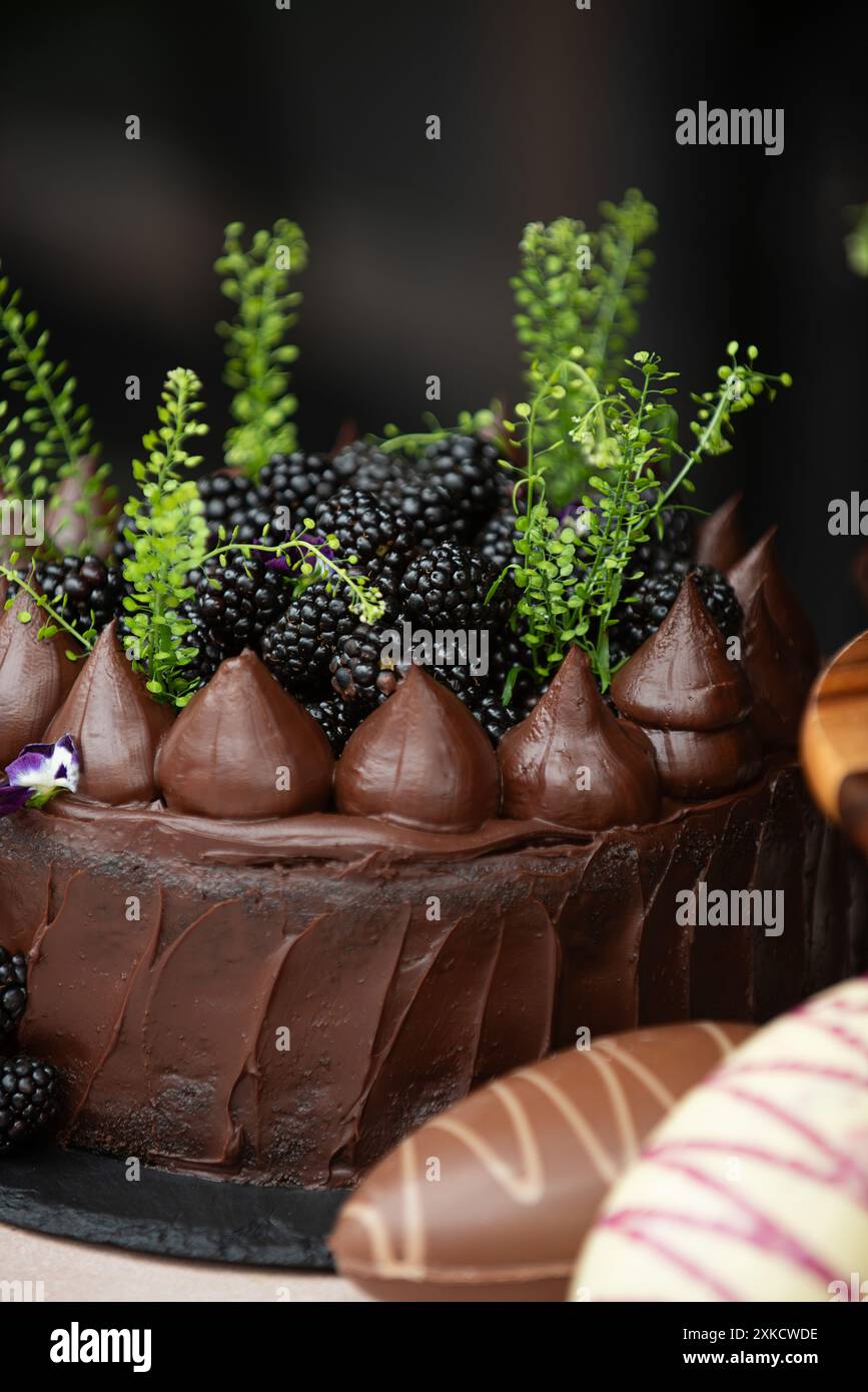 Easter chocolate cake. Beautifully decorated on the table with easter eggs. Stock Photo
