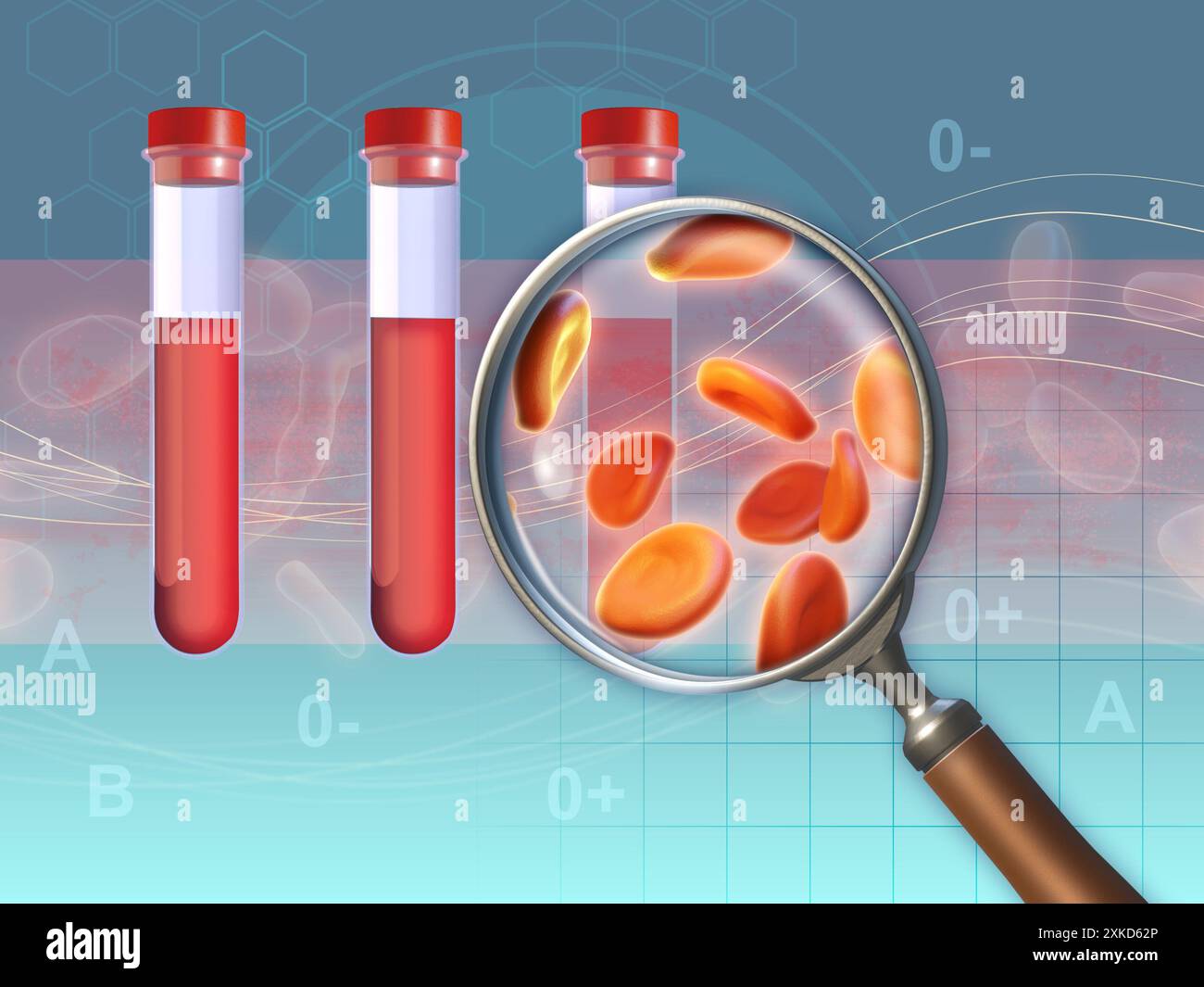 Human blood samples under a magnifying lens. Digital illustration, 3D render. Stock Photo