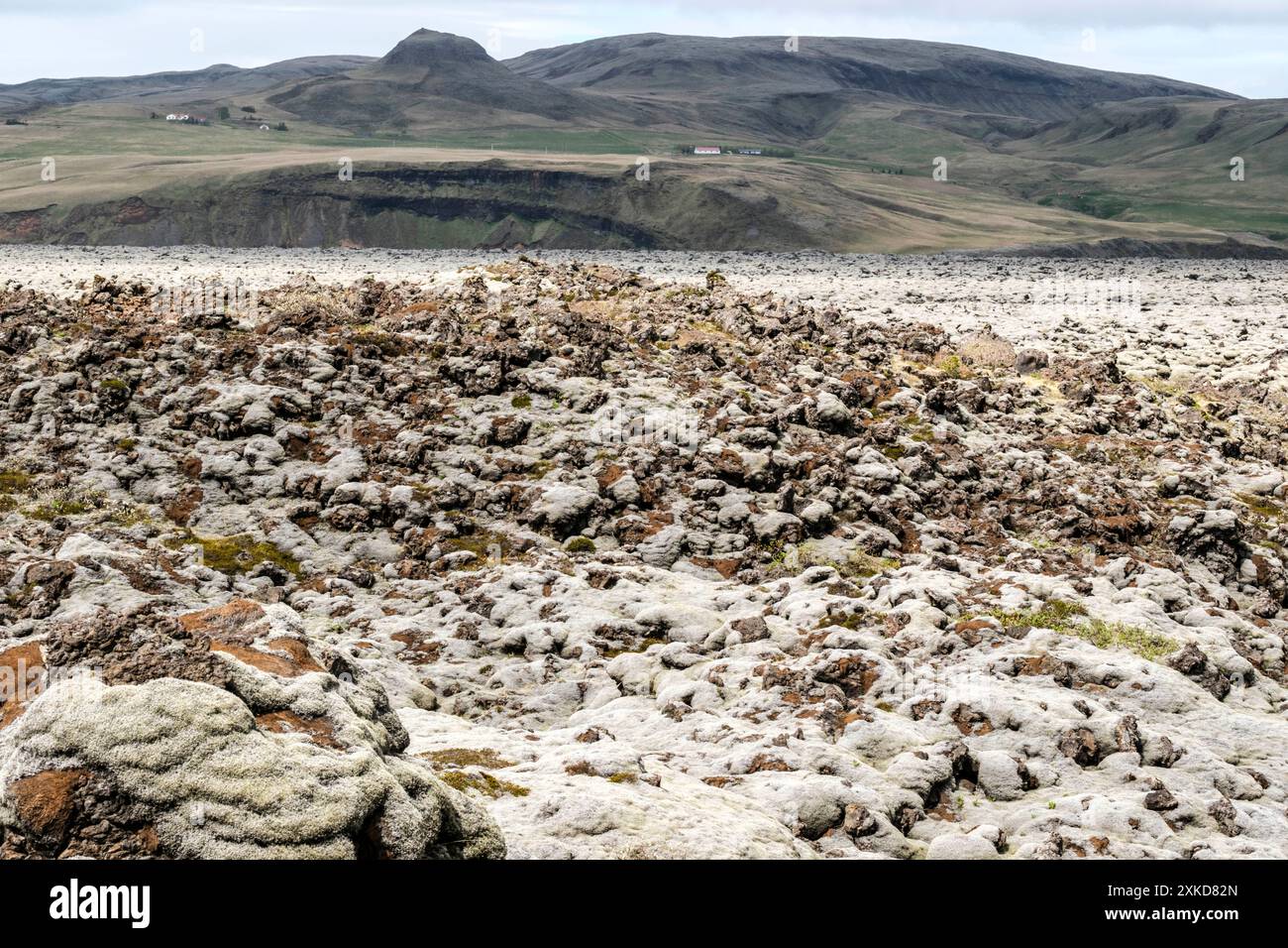 Eldhraun lava field and its moss heath | Le champ de lave d'Eldhraun et son épaisse mousse gris vert qui recouvre comme un tapis les blocs de lave sur Stock Photo