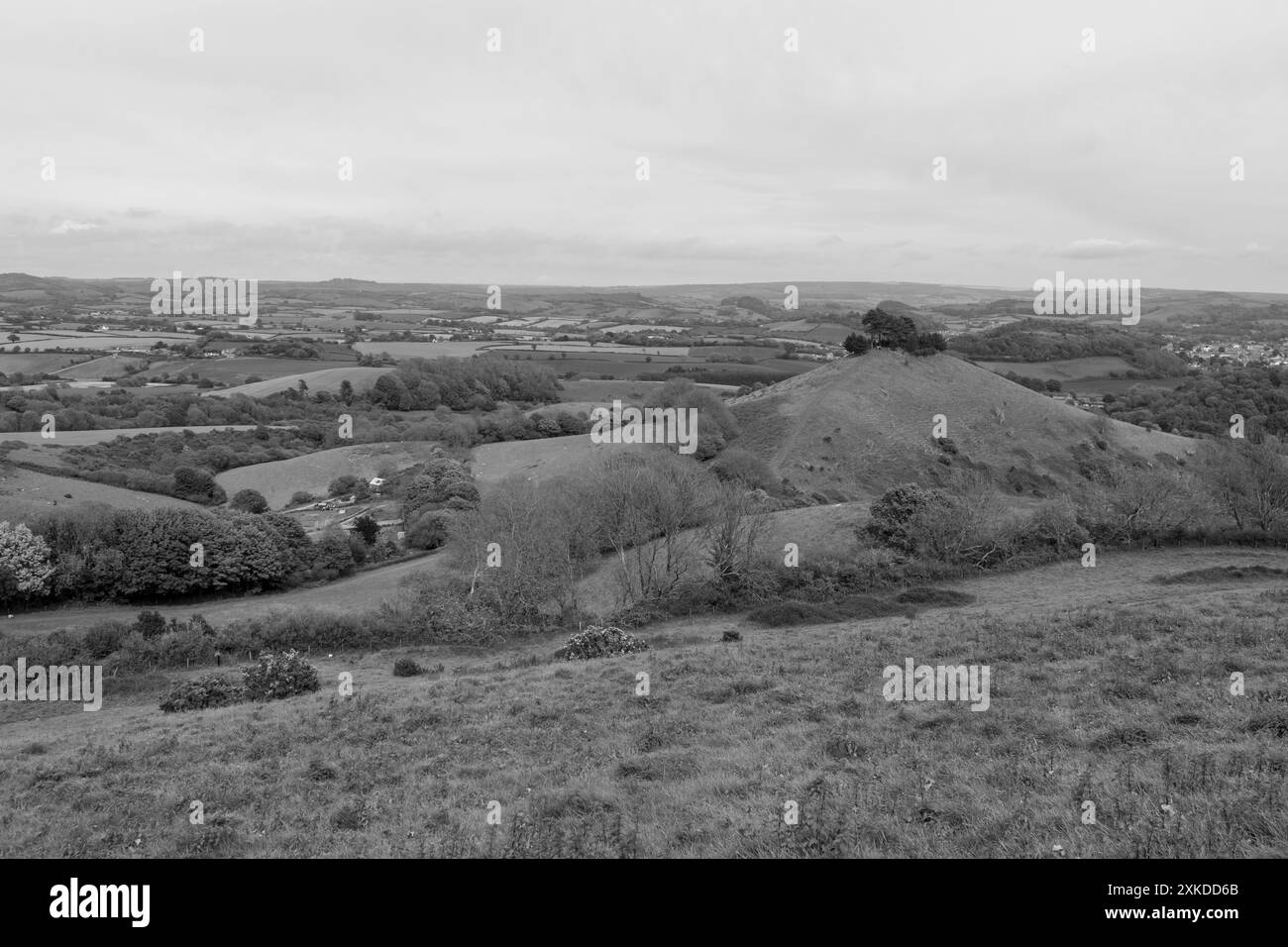 Landscape photo of Colmers hill in Dorset Stock Photo - Alamy