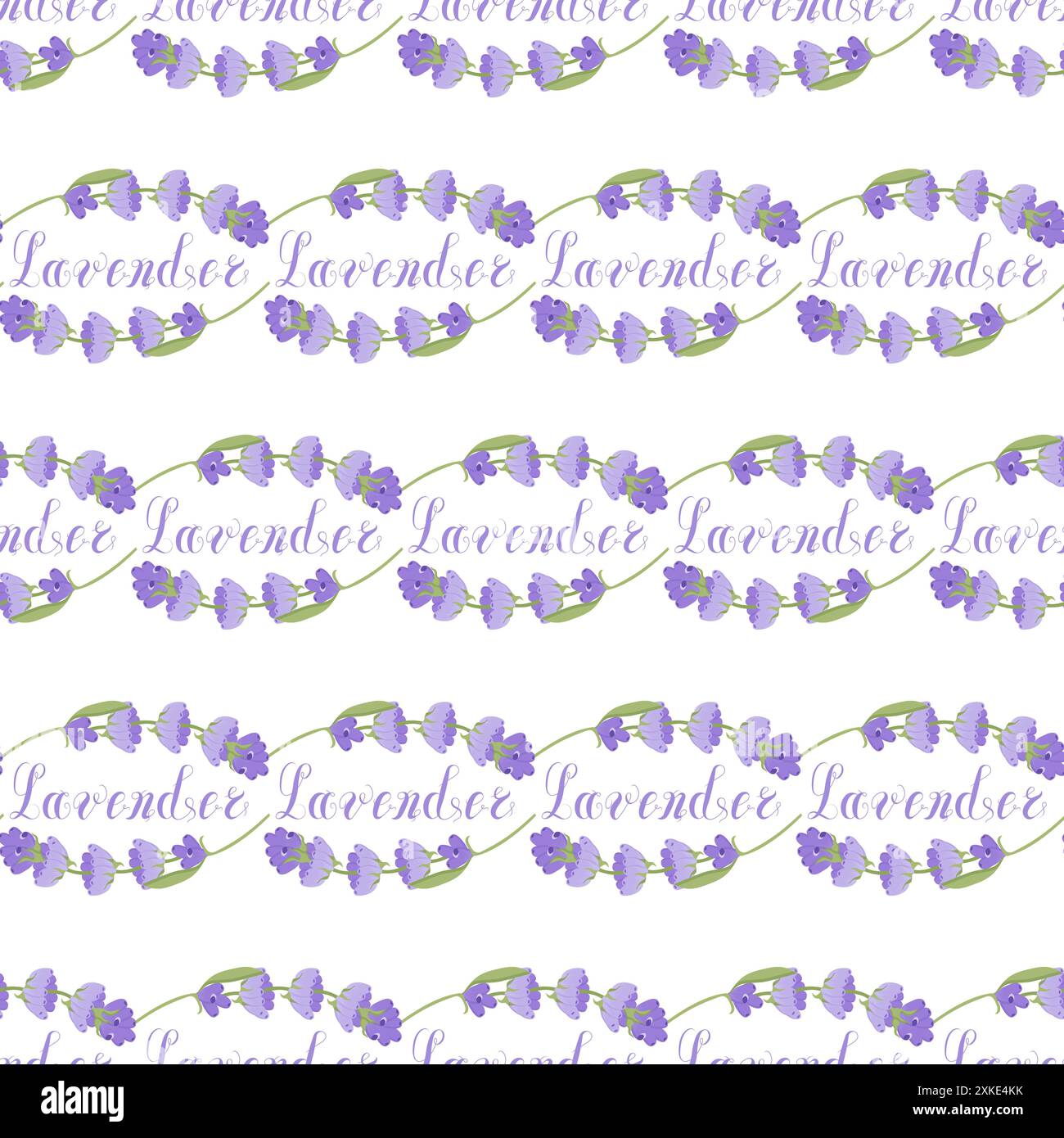 Lavender. Seamless pattern with flowers and the calligraphic word ...