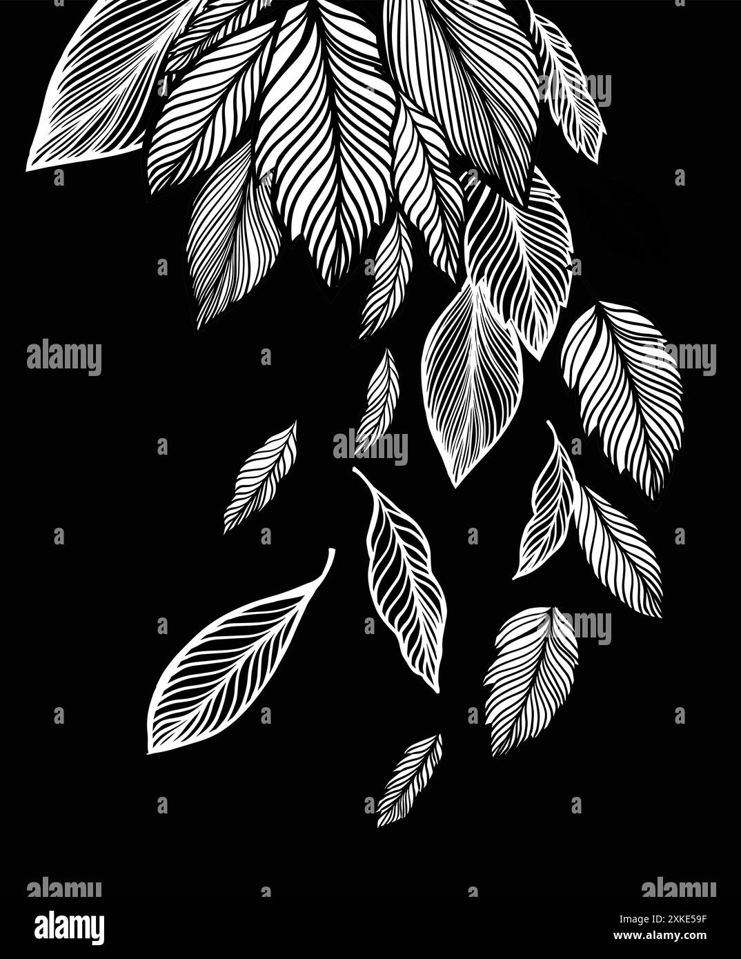 White skeletonized graceful leaves on a black background. hand drawing ...