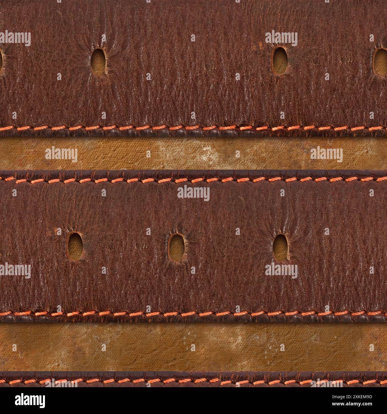 Seamless 4k photo texture photo of brown colored leather perforated belts on brown leather material surface with stitching. Stock Photo