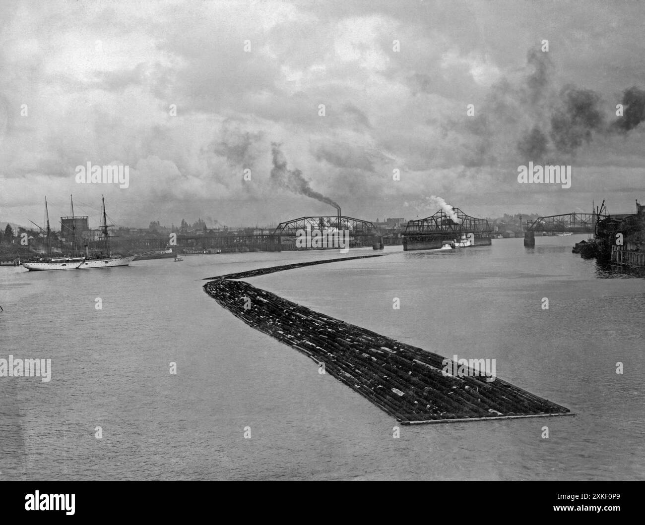 Portland, Oregon   c. 1910 Logging rafts being transported on the Willamette River by a sternwheeler tugboat. Note the Morrison swing bridge that has opened to allow the tug to pass through. Stock Photo