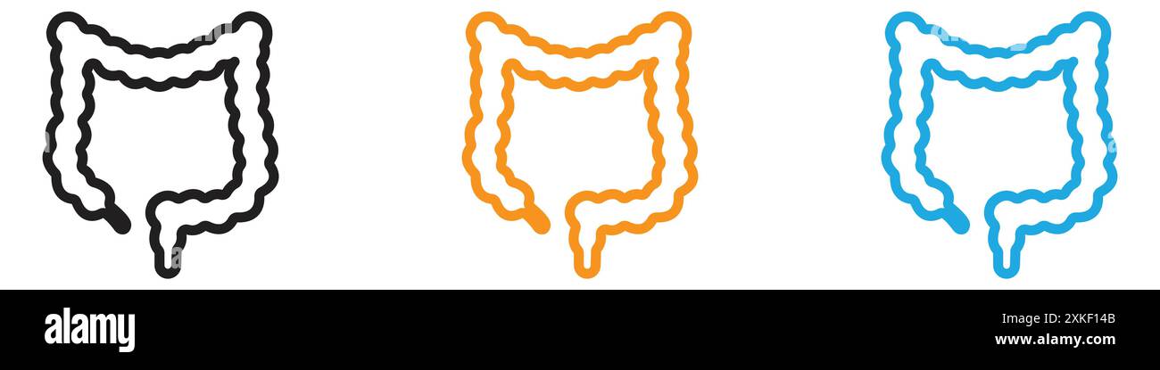 Large intestine icon hi-res stock photography and images - Alamy