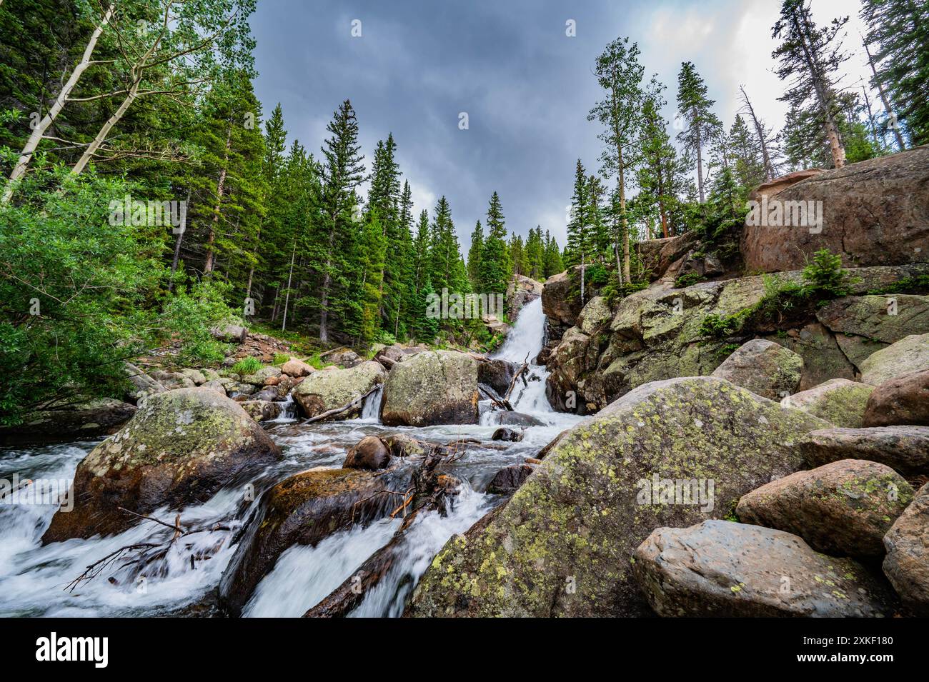 Rocky Mountain National Park Chipmunk while hiking to Glacier Falls in ...