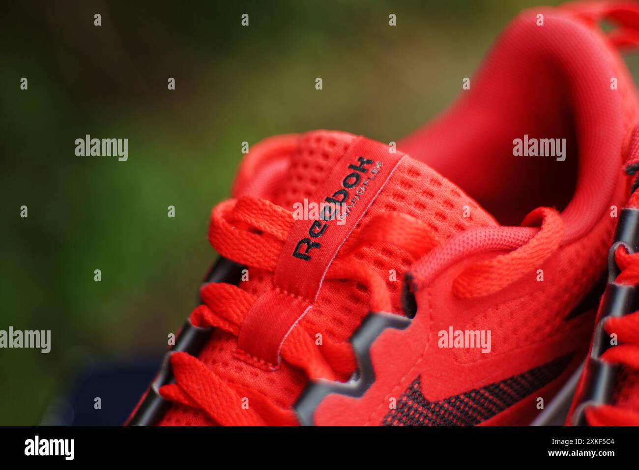 Tyumen Russia June 20 2024 Reebok logo sneakers and its box with the Reebok Stock Photo Alamy