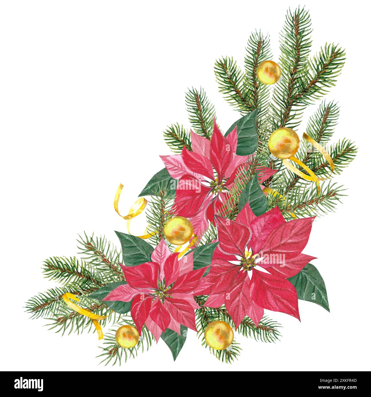 New Year's composition with poinsettia flowers, Christmas tree branches ...