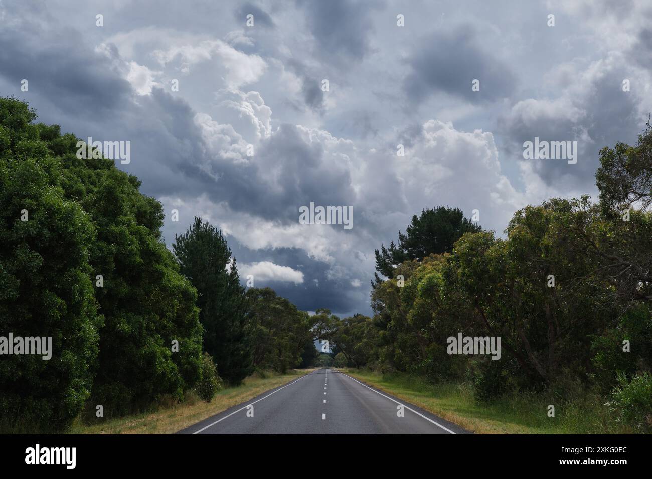 Heading For The Storm Stock Photo