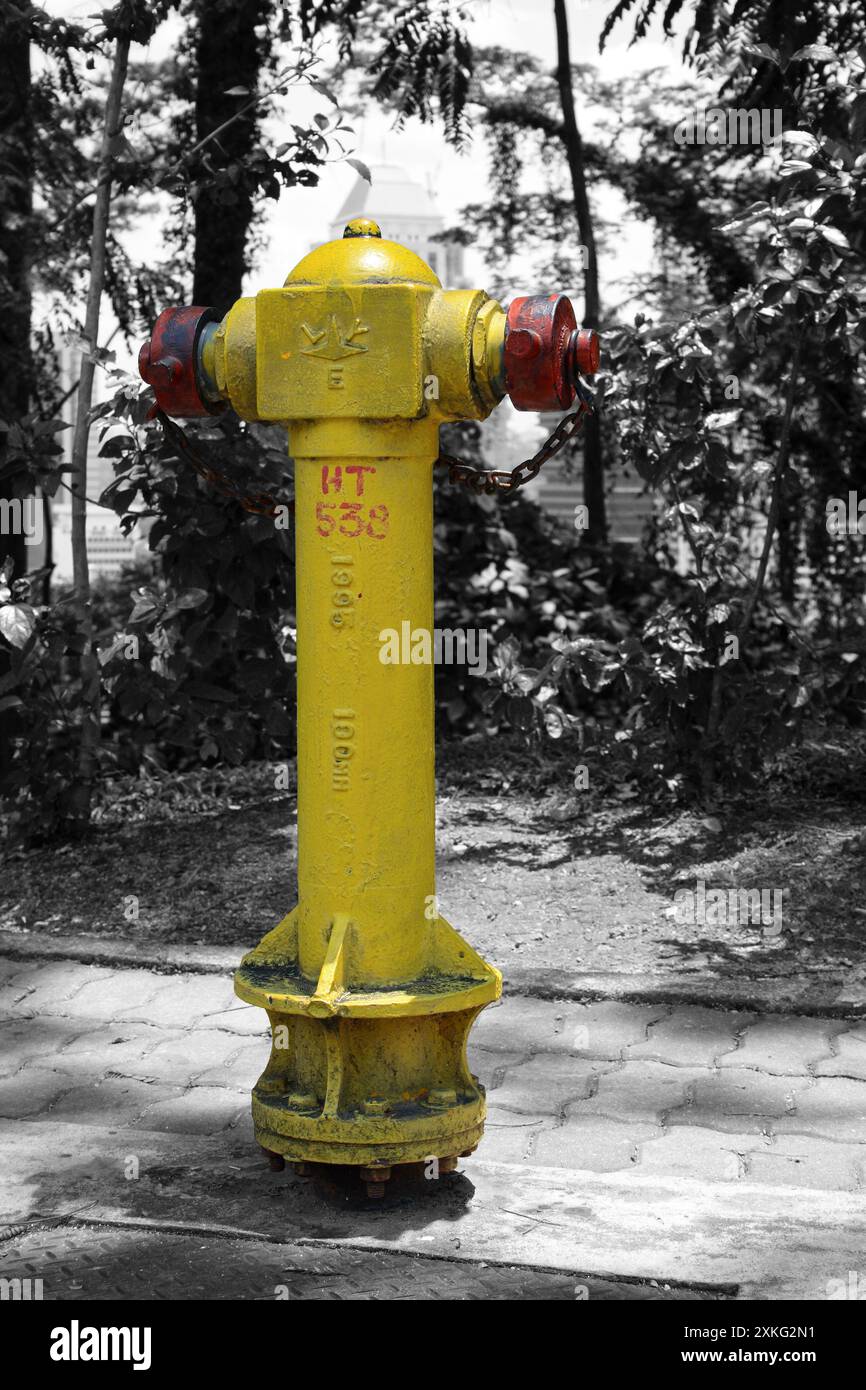 Yellow fire hydrant in Kuala Lumpur isolated on a black and white background. Stock Photo