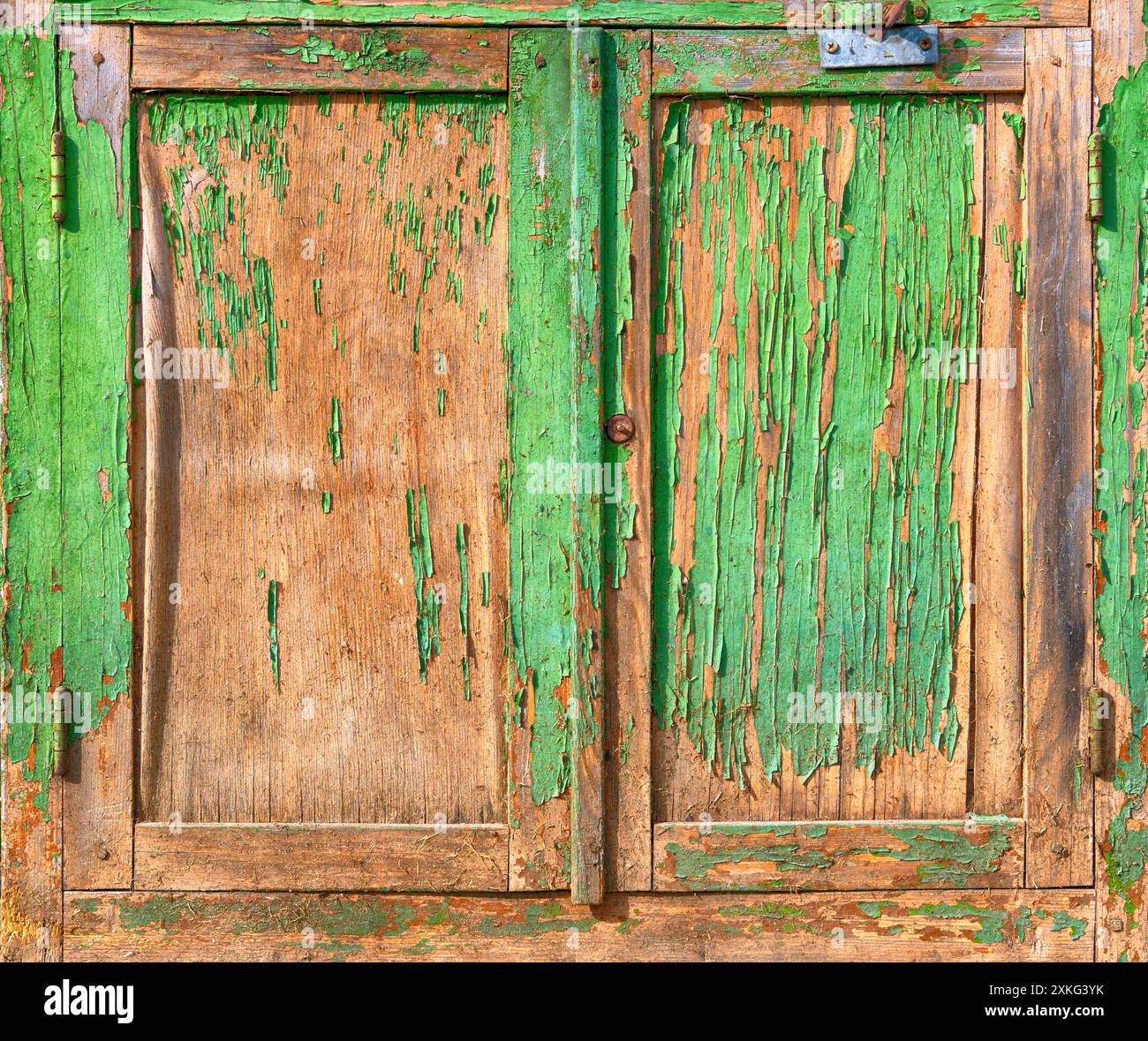 Old weathered dirty wooden door with peeling paint Stock Photo
