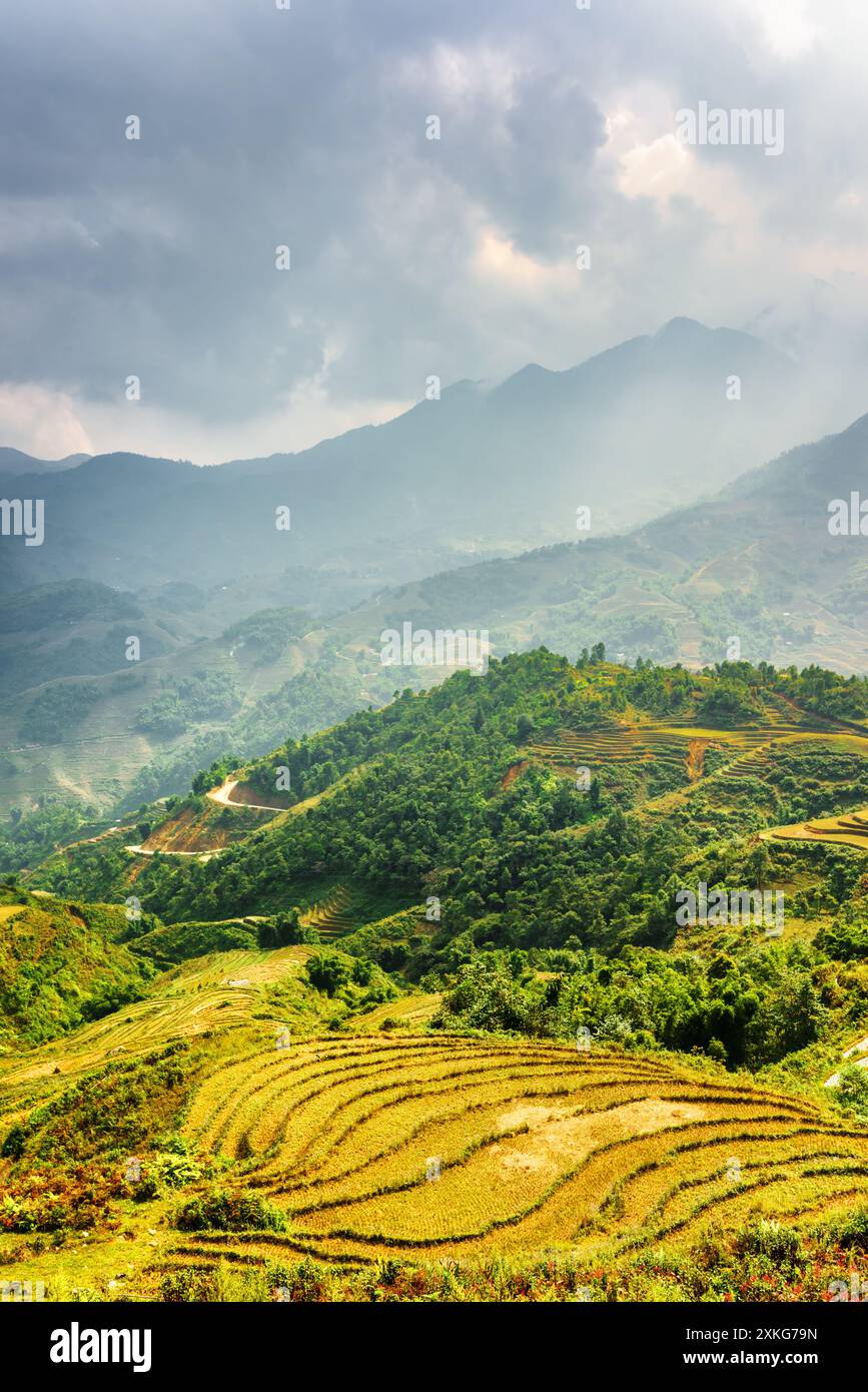 Sa Pa Rice terrace sa pa vietnam hi-res stock photography and images - Alamy