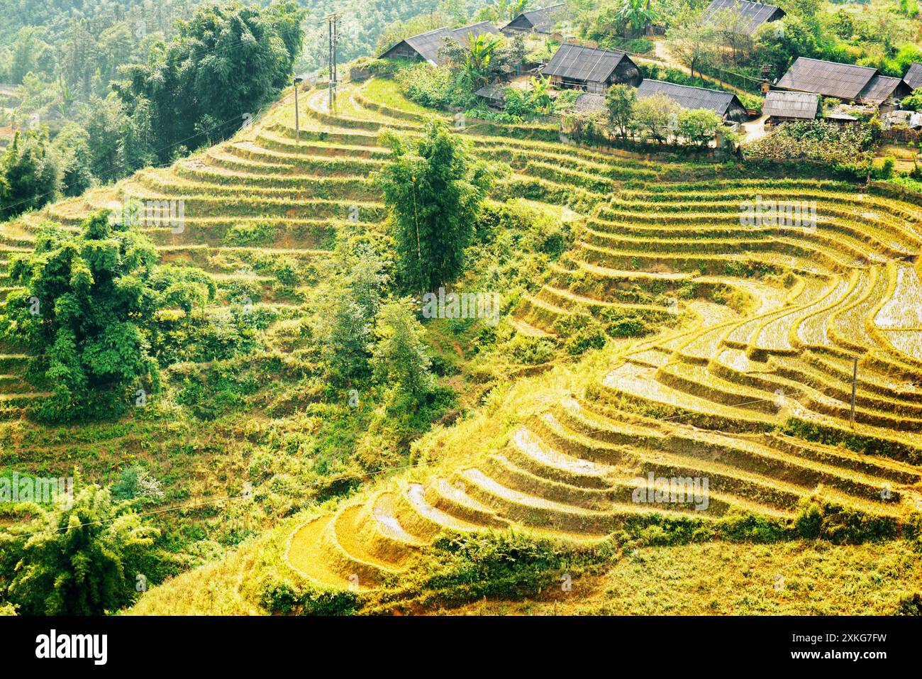 View of rice terraces and small village at highlands of Vietnam Stock ...