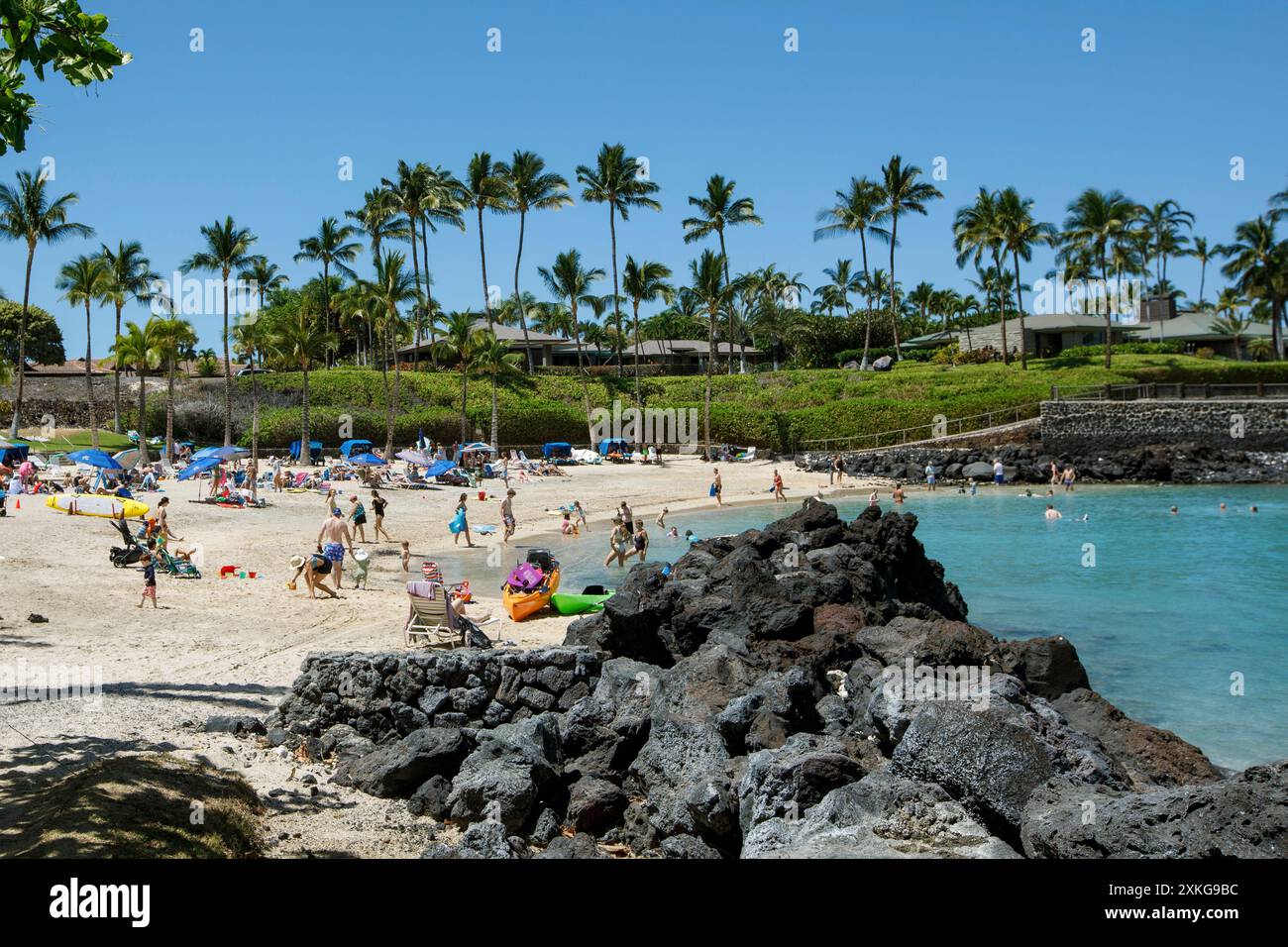 Bathing With Rocks bathing beach with lava rocks and coconut palms, USA, Hawaii, Big ...