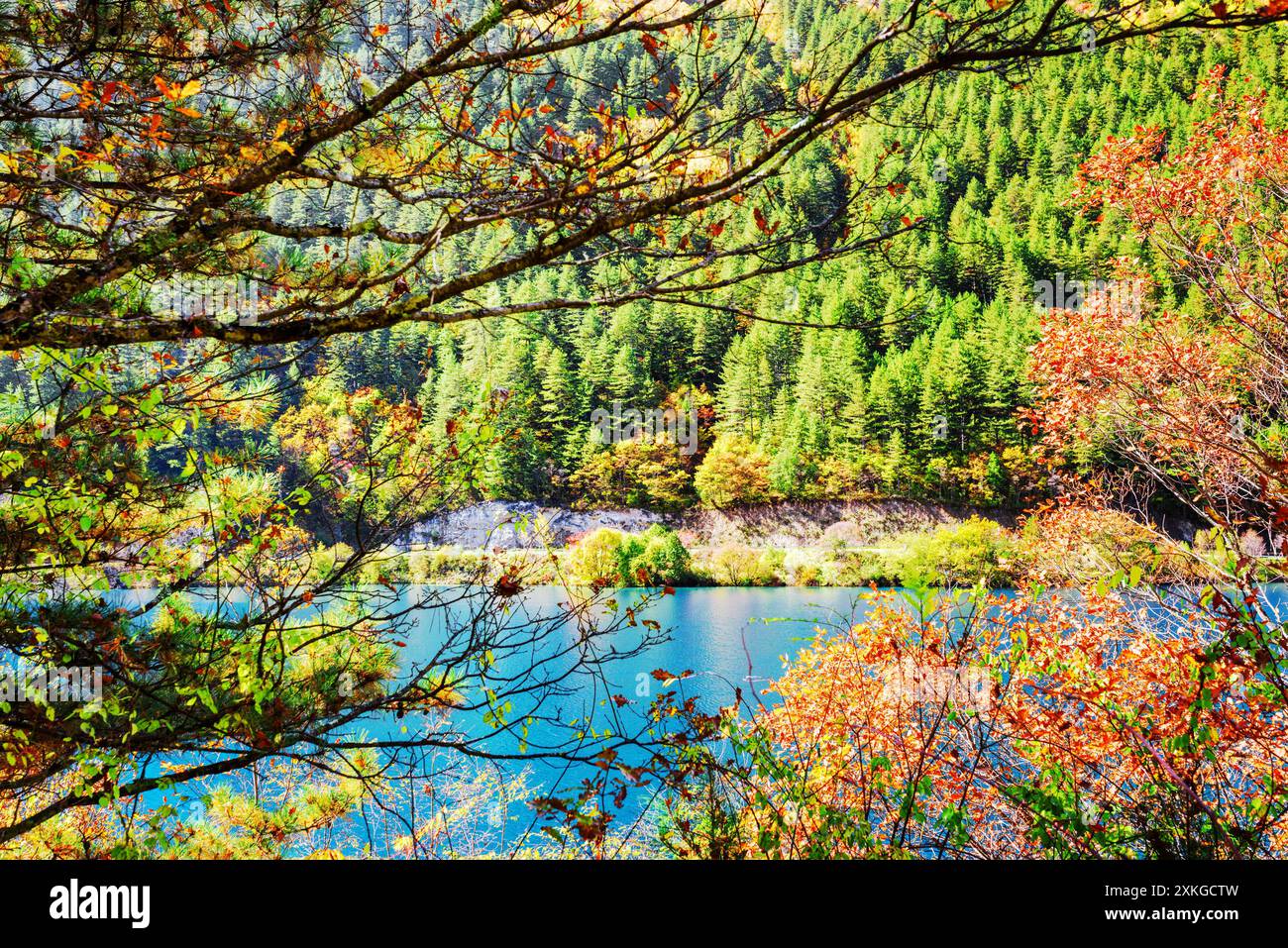 Beautiful azure lake through hi-res stock photography and images - Alamy