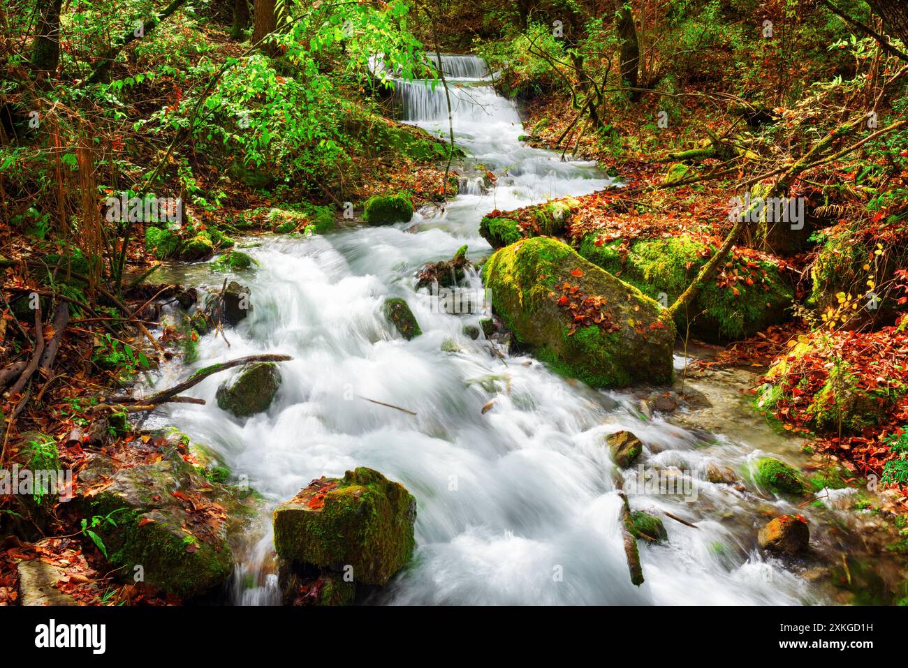 Mossy Rocks Fall River fall among mossy stones hi-res stock photography and images - Alamy