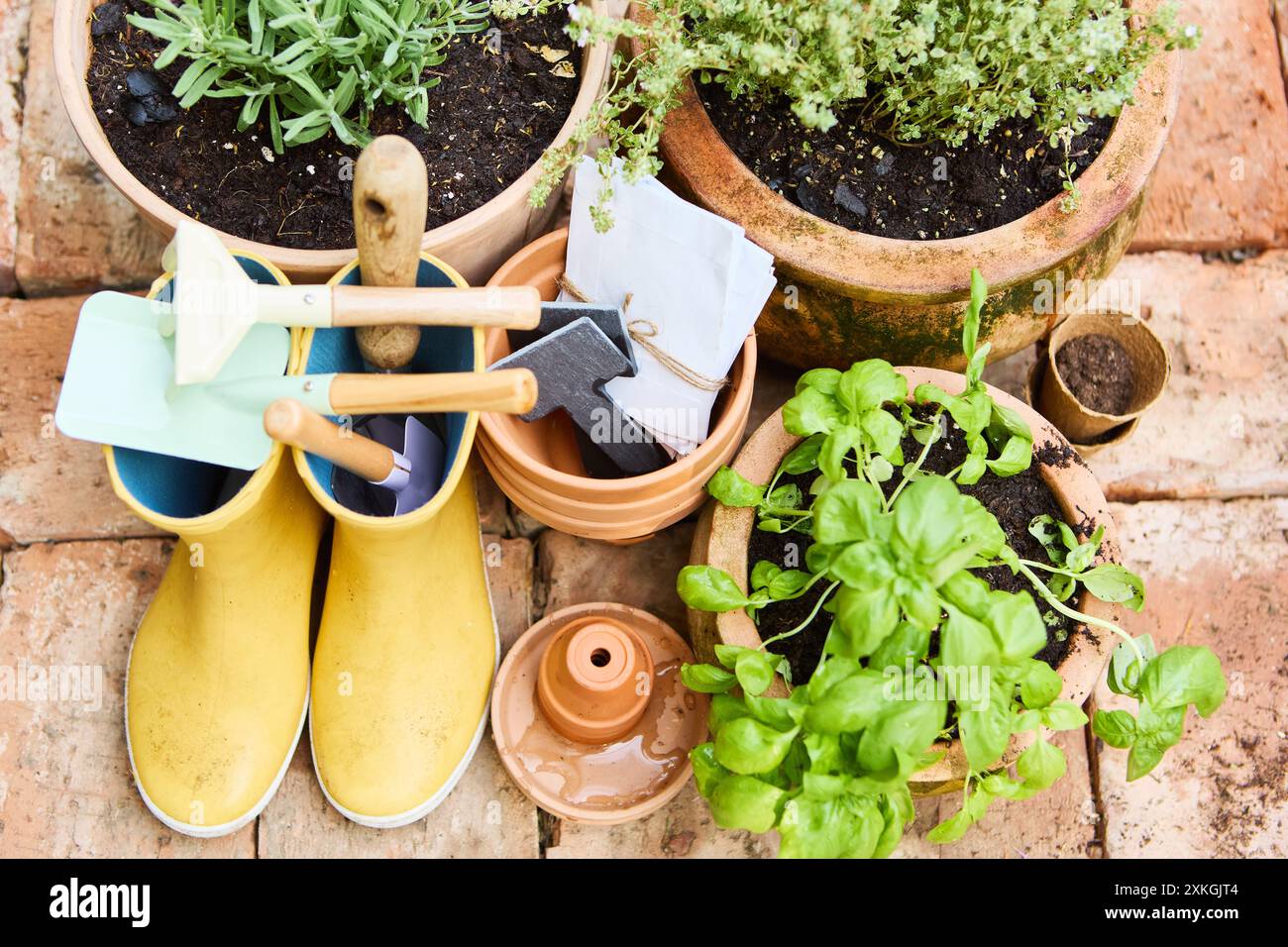 Top view gardening setup hi-res stock photography and images - Alamy