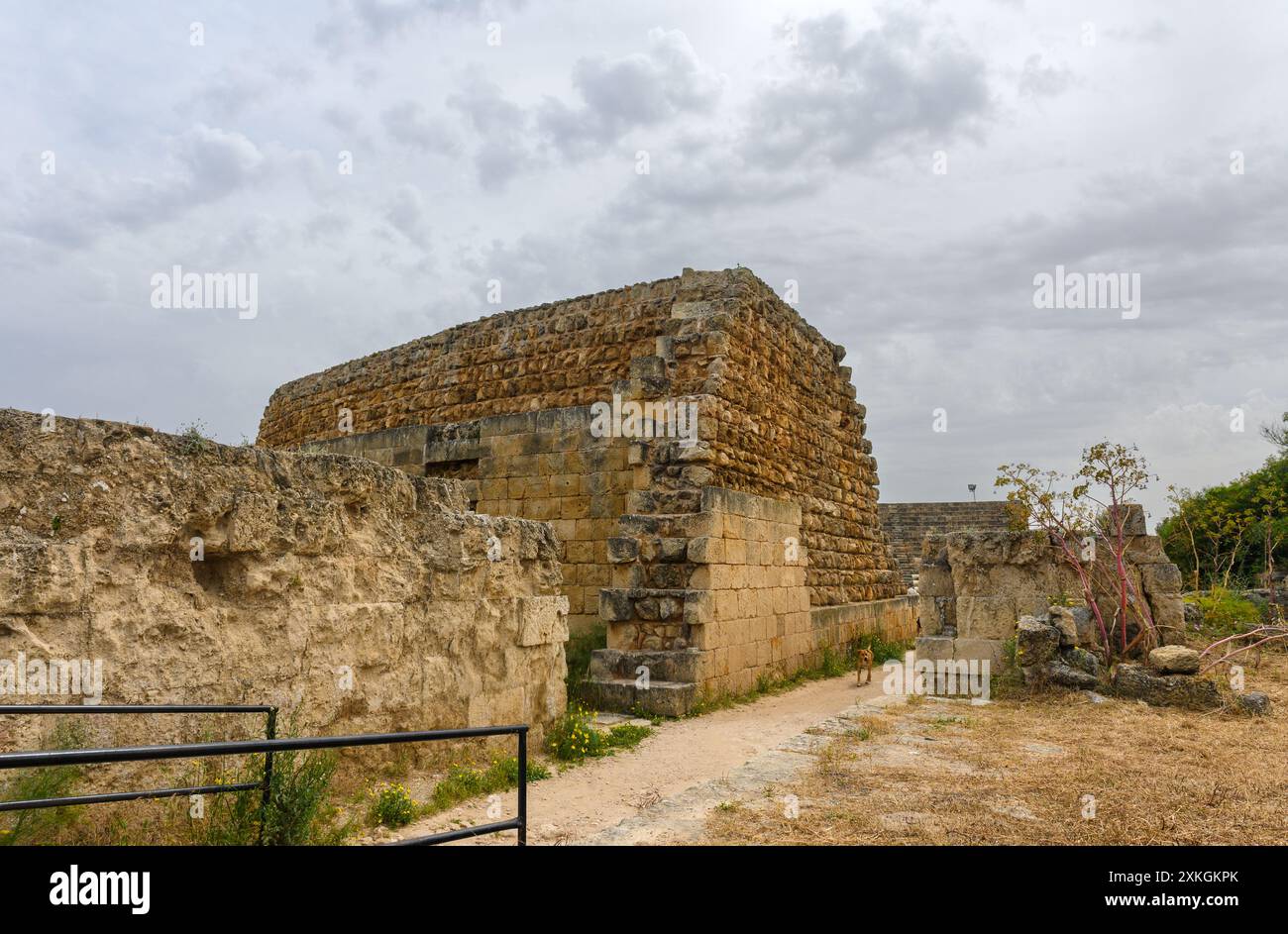 Statue columns salamis roman ruins hi-res stock photography and images ...