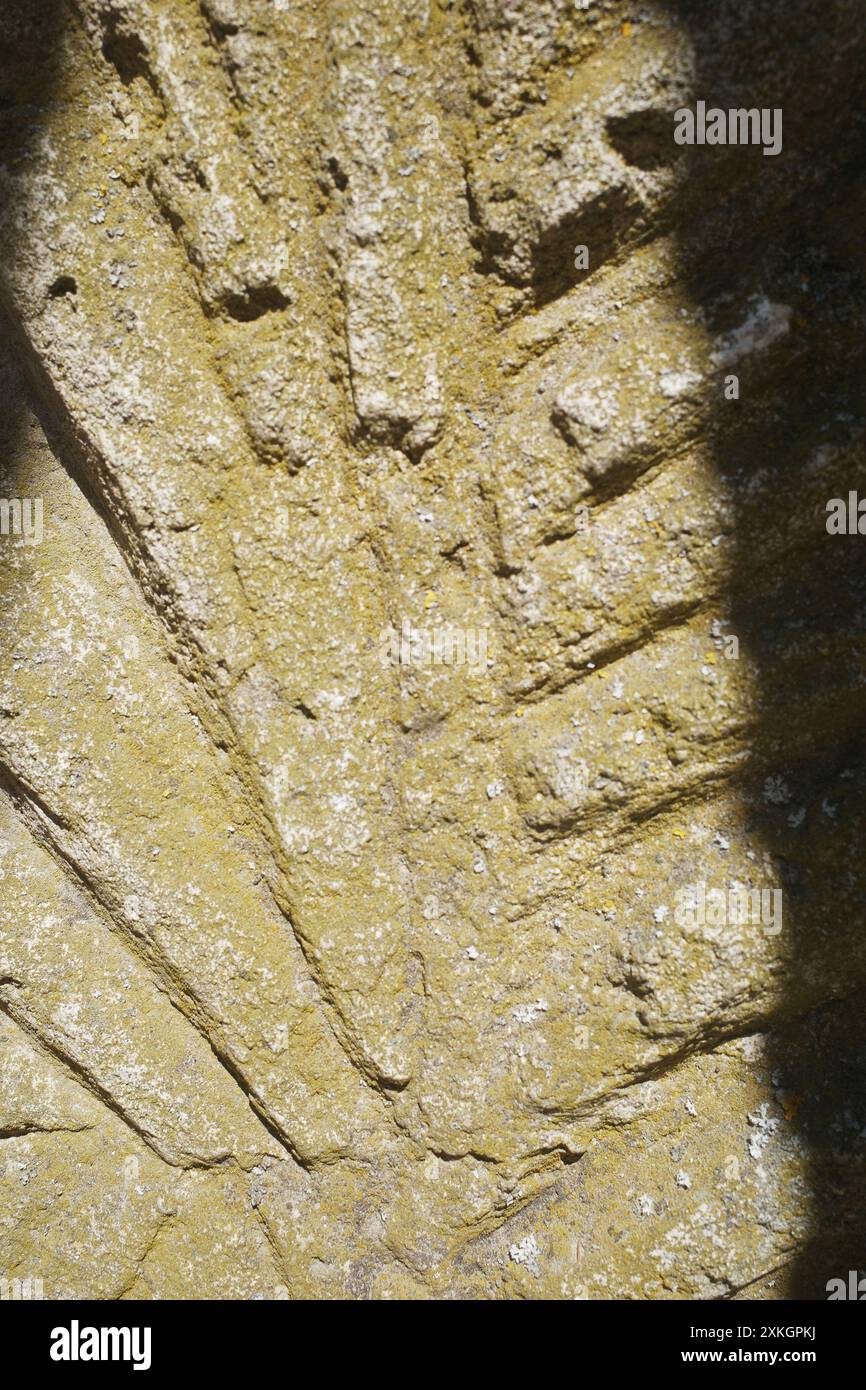 Texture: Ancient stone with a pattern. History and excavations. Ancient ...
