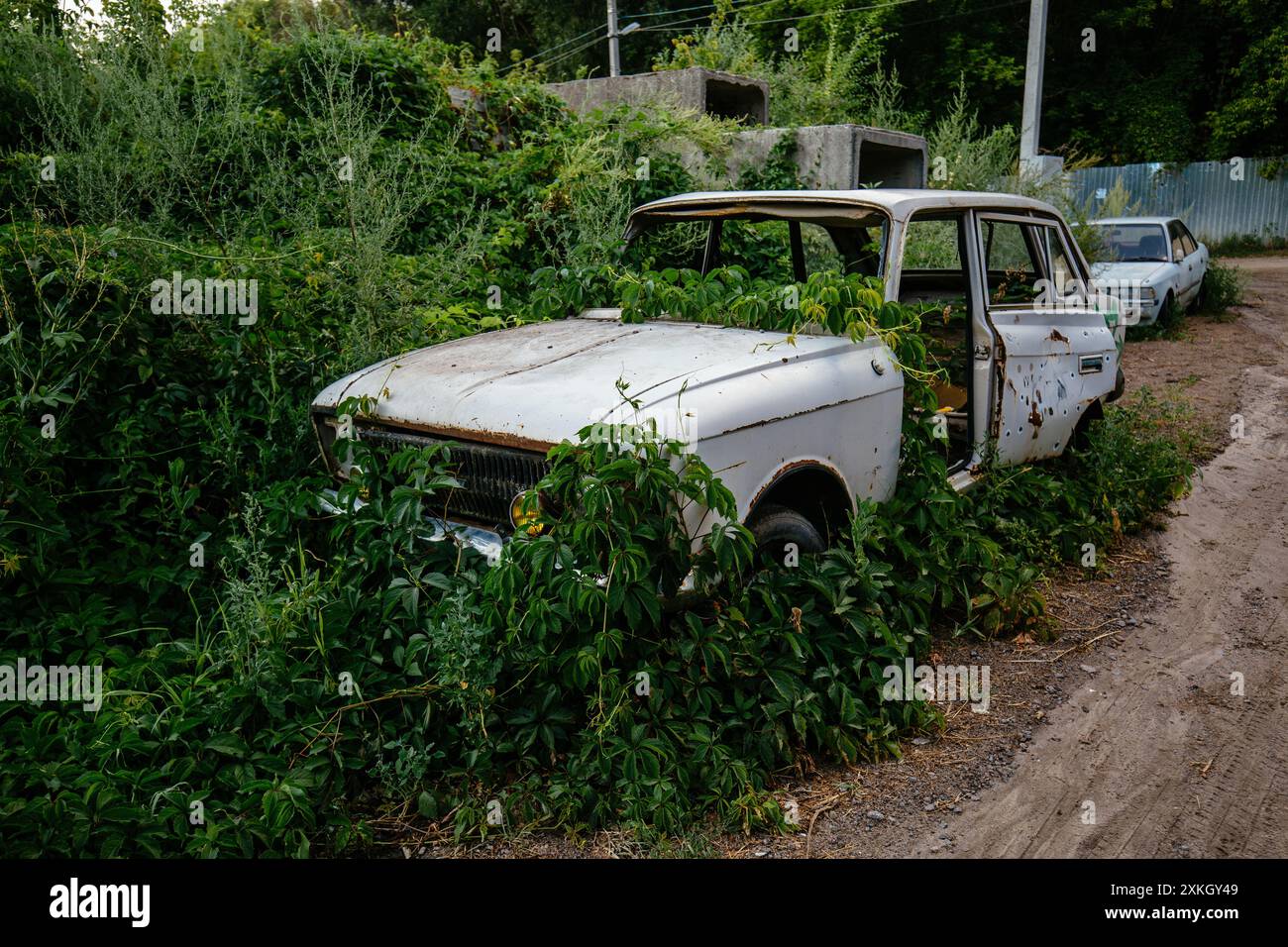 Old broken car overgrown by plants with bullet holes Stock Photo - Alamy