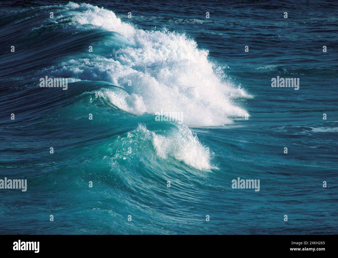 Australia. Sydney seascape. Surf wave. Stock Photo