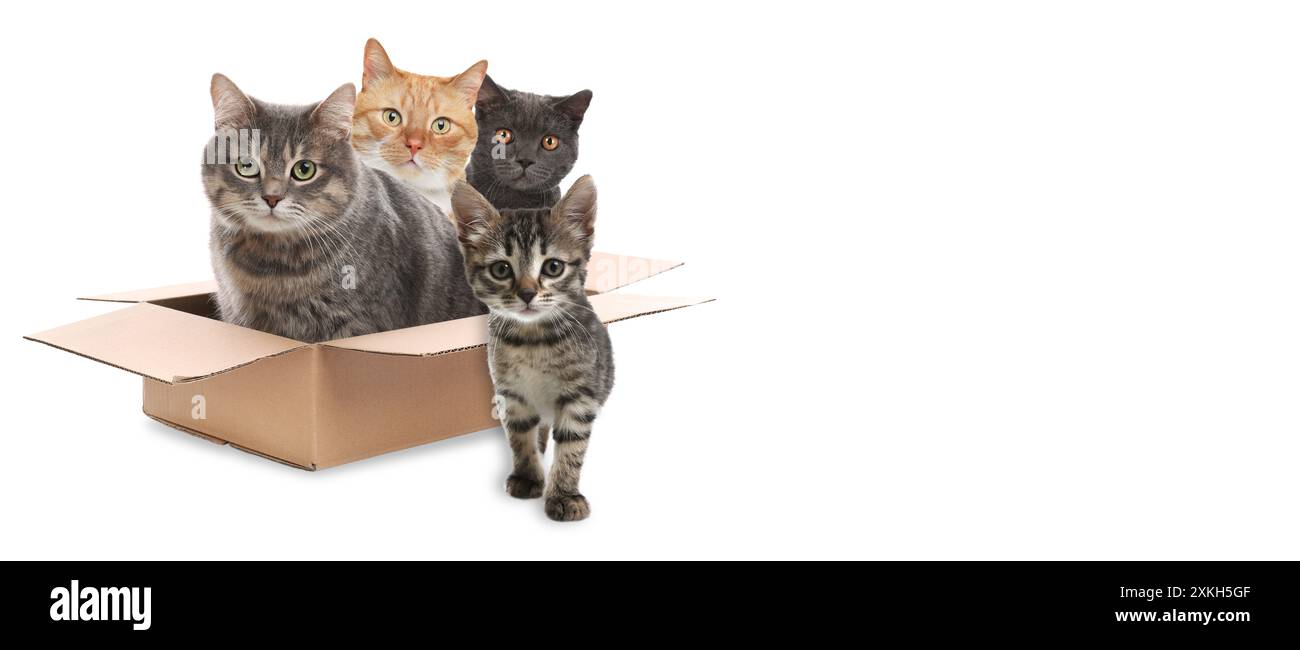 DIY Toddler Toy Chest – Jungle 1, 2, 3 Theme – Work-Craft Balance, image size:1300x650