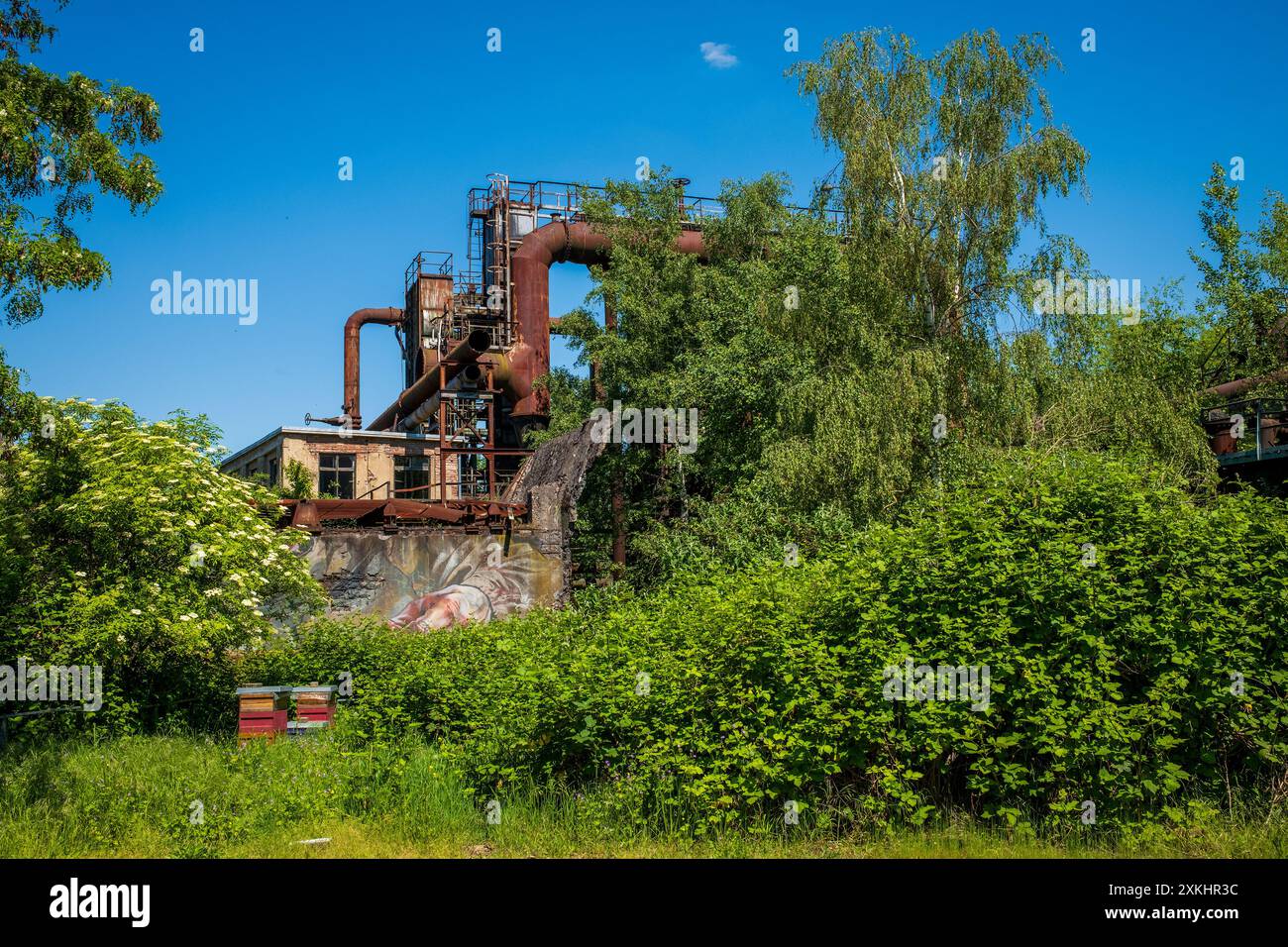 Curated visual reference: Visual Reference: Old Industrial Buildings Covered With Plants Stock Photo