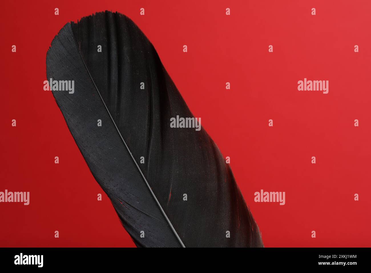 Fluff red gentle feather hi-res stock photography and images - Alamy