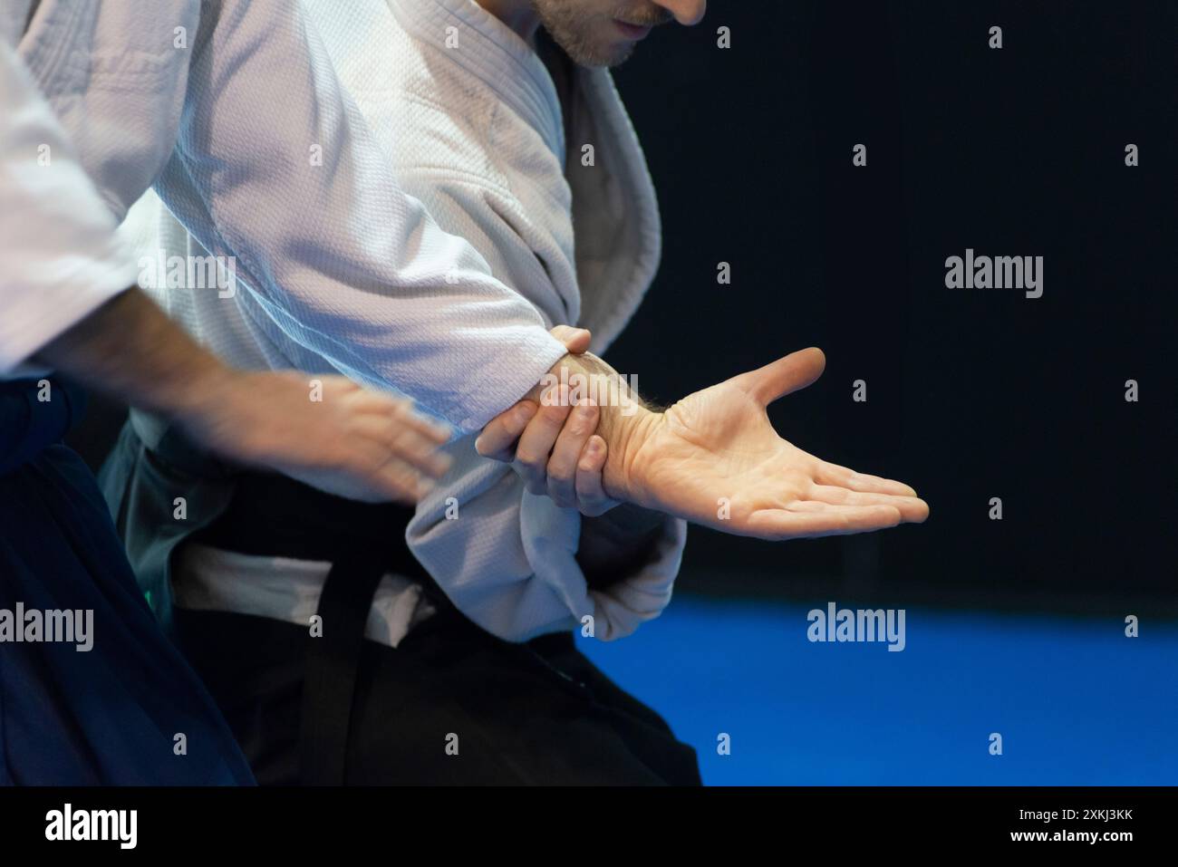 Man Practicing Aikido Stock Photo