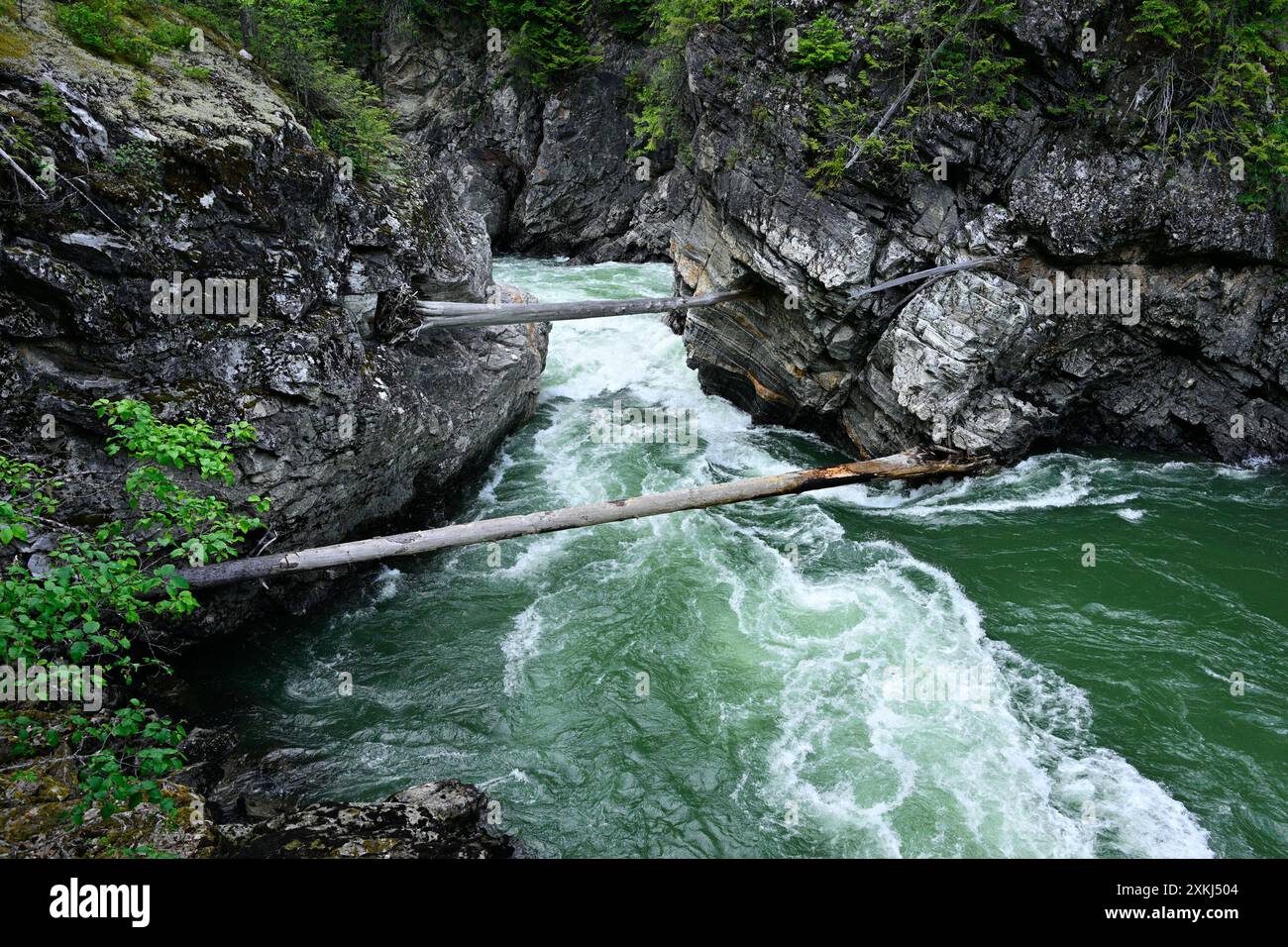 River canyon, rapids, Little Hells Gate, Little Hell's Gate Regional Park Avola, British Columbia, Canada Stock Photo