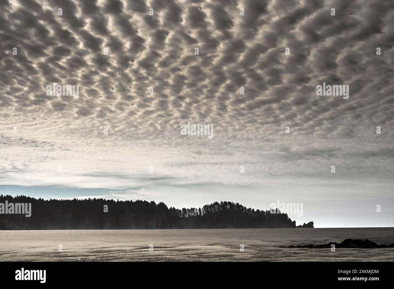 Dramatic clouds over Second Beach Olympic National Park, WA Stock Photo