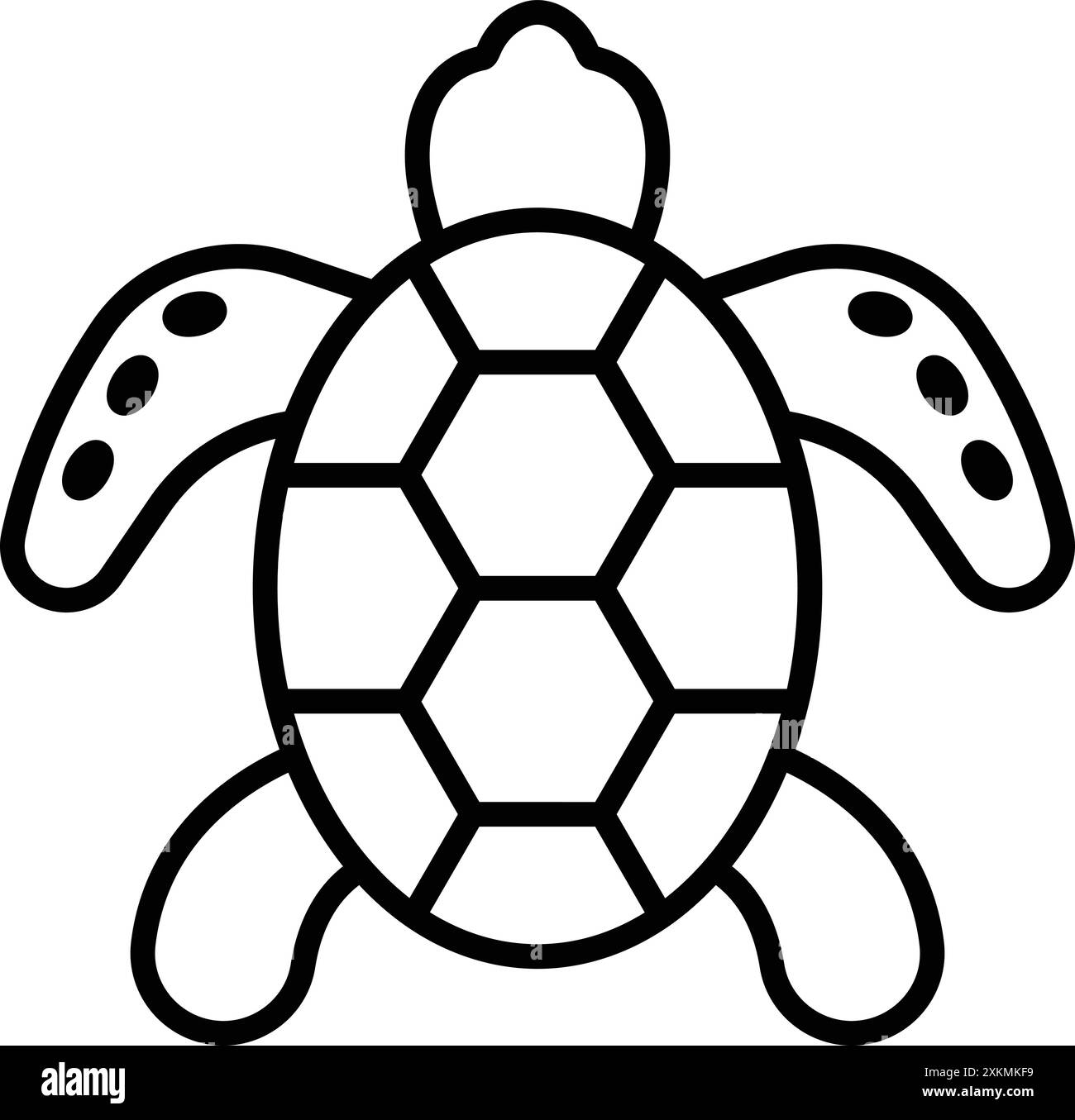 Turtle tattoo Black and White Stock Photos & Images - Alamy