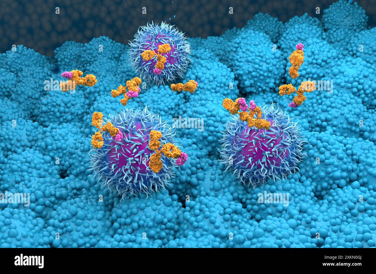 Monoclonal antibody treatment in Pancreatic cancer - isometric view 3d ...