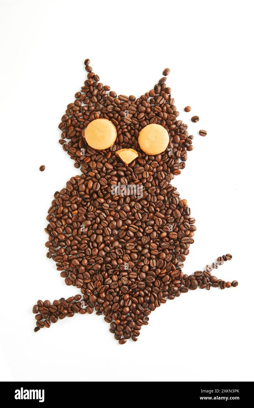 Creative owl shape made from coffee beans with macarons for eyes and beak on a white background. Stock Photo