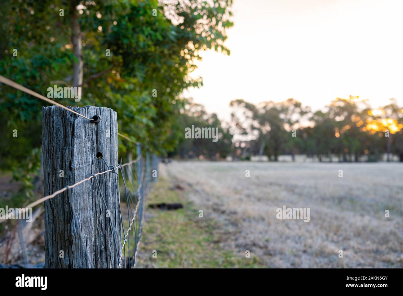 Farming land electric wire fence hi-res stock photography and images ...